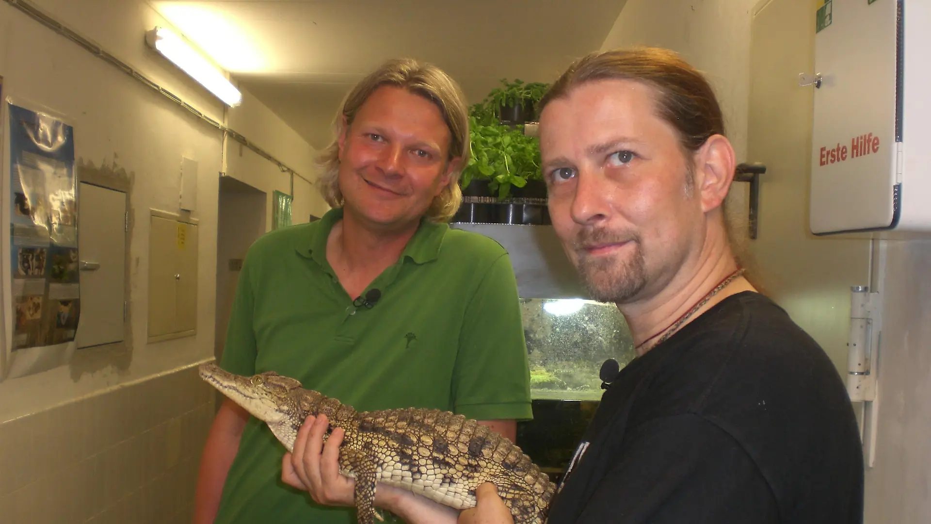 Vorschau - Krokodile Frank Weber 2