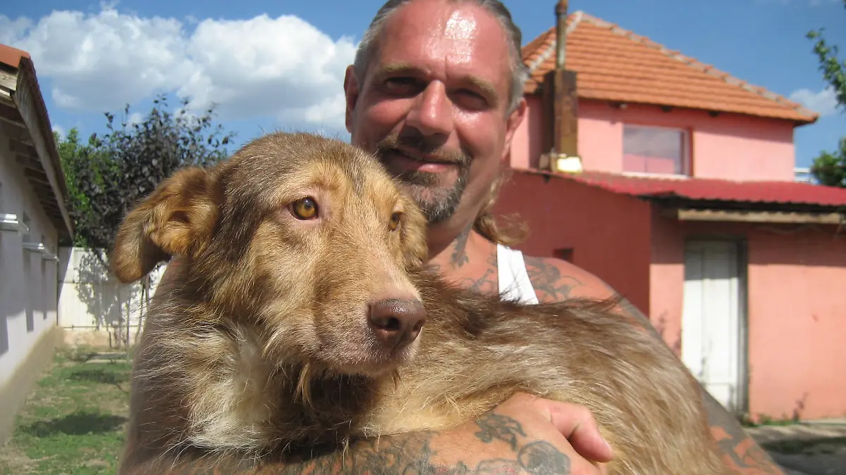 Tiergeschichten3 - Harte Hunde - Ralf Seeger in Rumnien