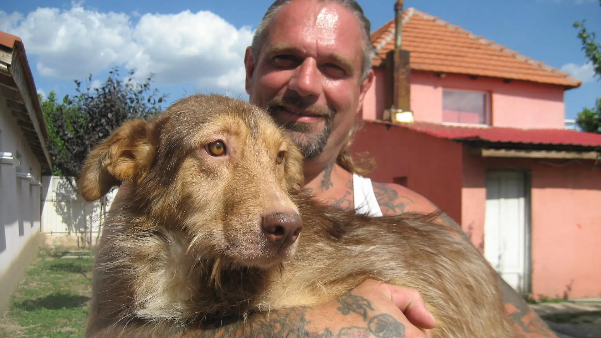Tiergeschichten3 - Harte Hunde - Ralf Seeger in Rumnien