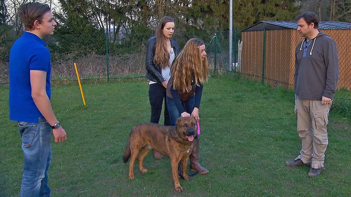 Jeder Spaziergang mit dem großen Mischlings-Rüden "Aiko" ist eine Zitterpartie. Nicht nur für Pamela (46, r.), sondern erst recht für ihre Kinder Anika und Max (l.). Ein Fall für den Hundeprofi Martin Rütter!
