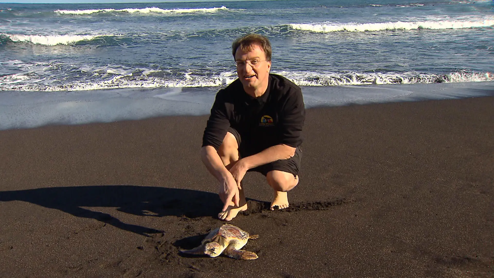 Reinschmidt Schildkroete.VOX