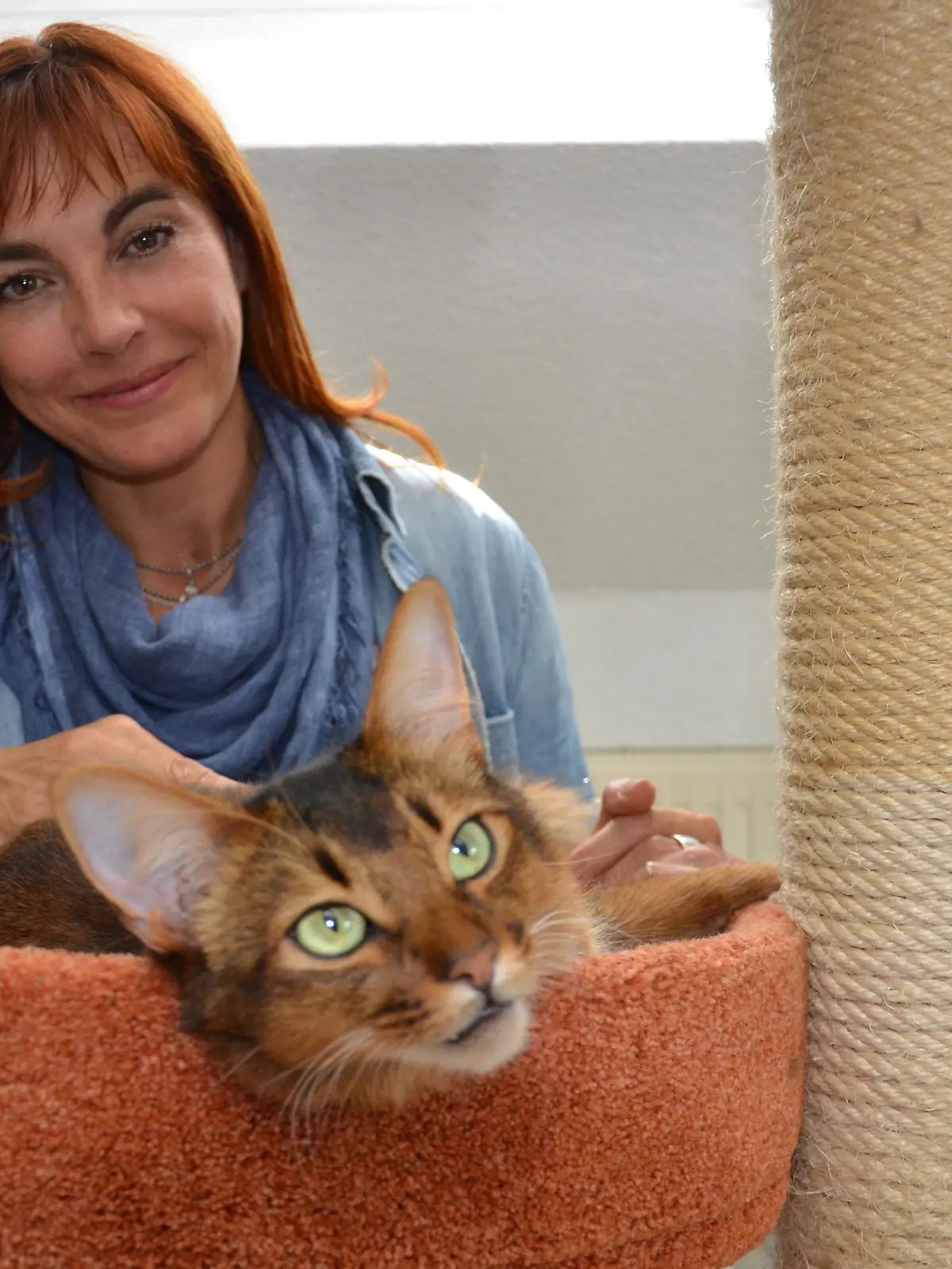 HKM Katzenführerschein: Diana Eichhorn gibt mit Unterstützung der Somali-Katzen Mima und Jerrie Tipps zur guten Katzenhaltung; Fotograf: Tobias Brodhun, Recklinghausen, 05.09.2017
