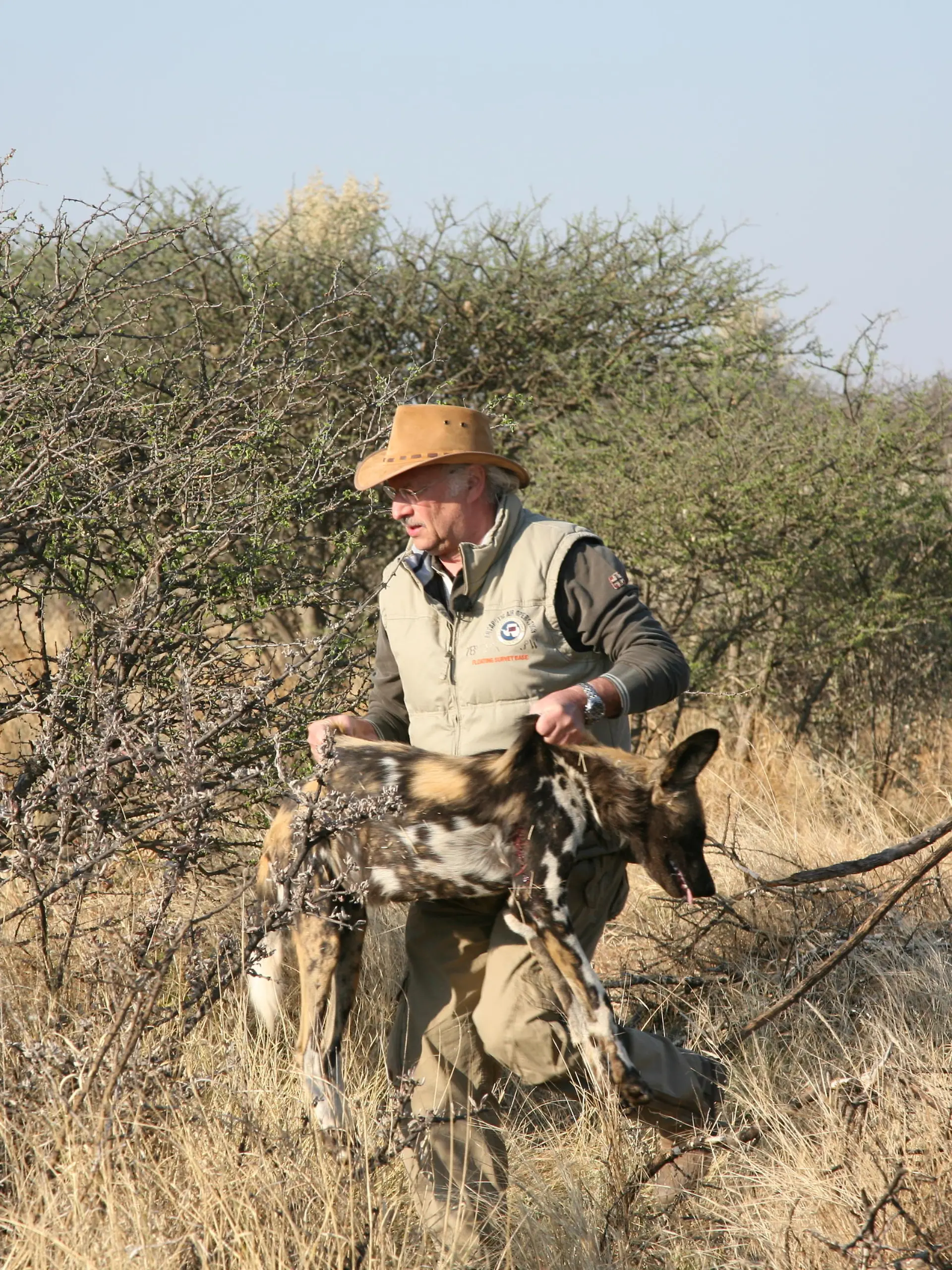Sprechstunde1 - Bild 1 - Dr. Wolf - Wildhunde