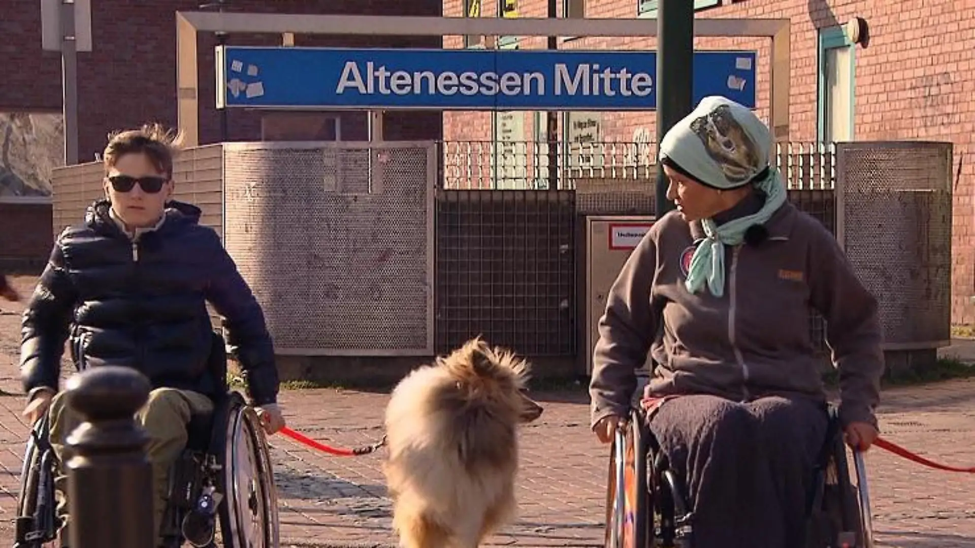 Tiergeschichten3 - VOX - Hundetrainerin Filiz Erfurt mit Yannick und seinem Hund Mylo beim Training fr die Behinderten-Begleithundeprfung