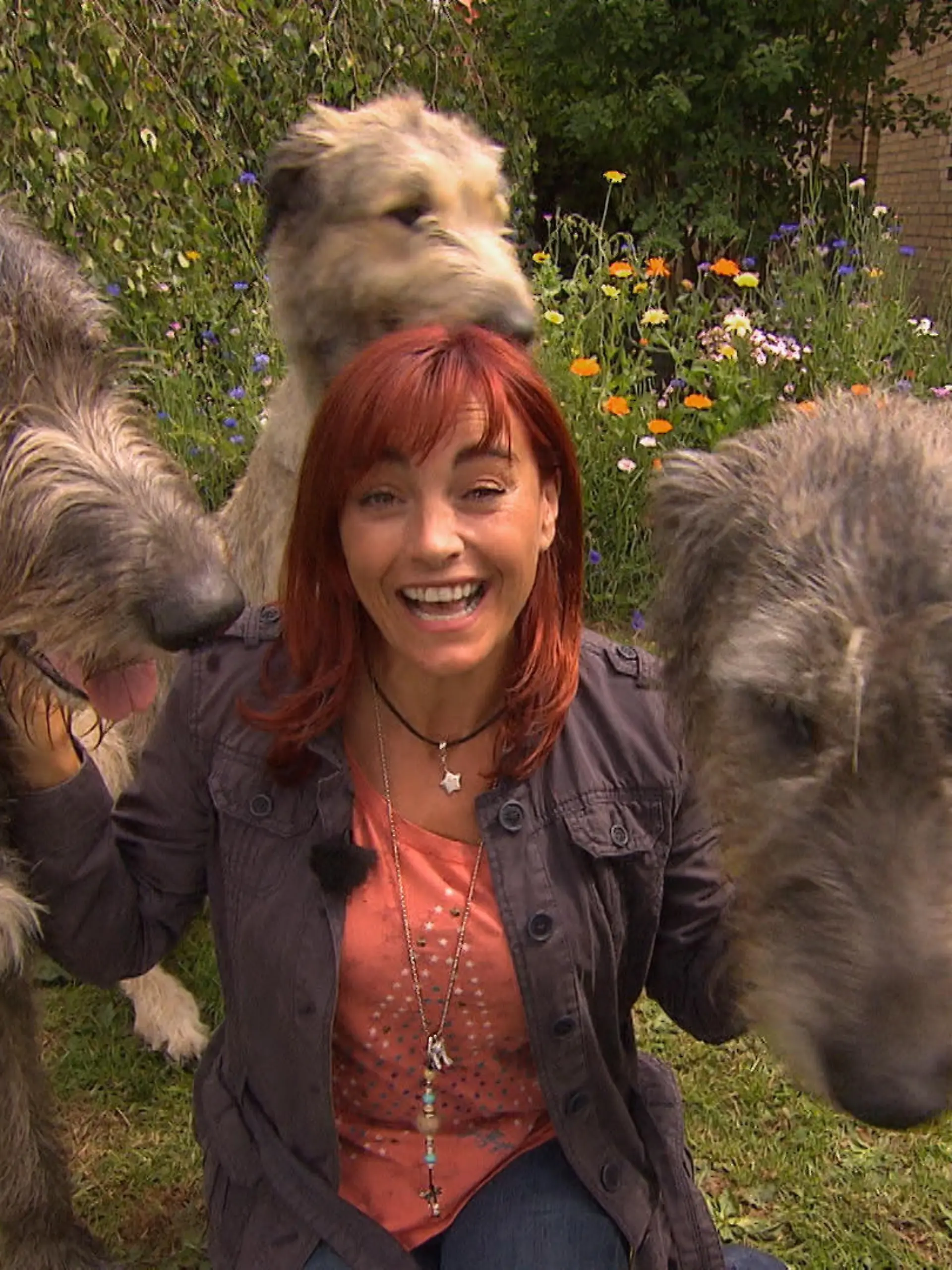Diana Wolfshunde VOX DOCMA TV  2