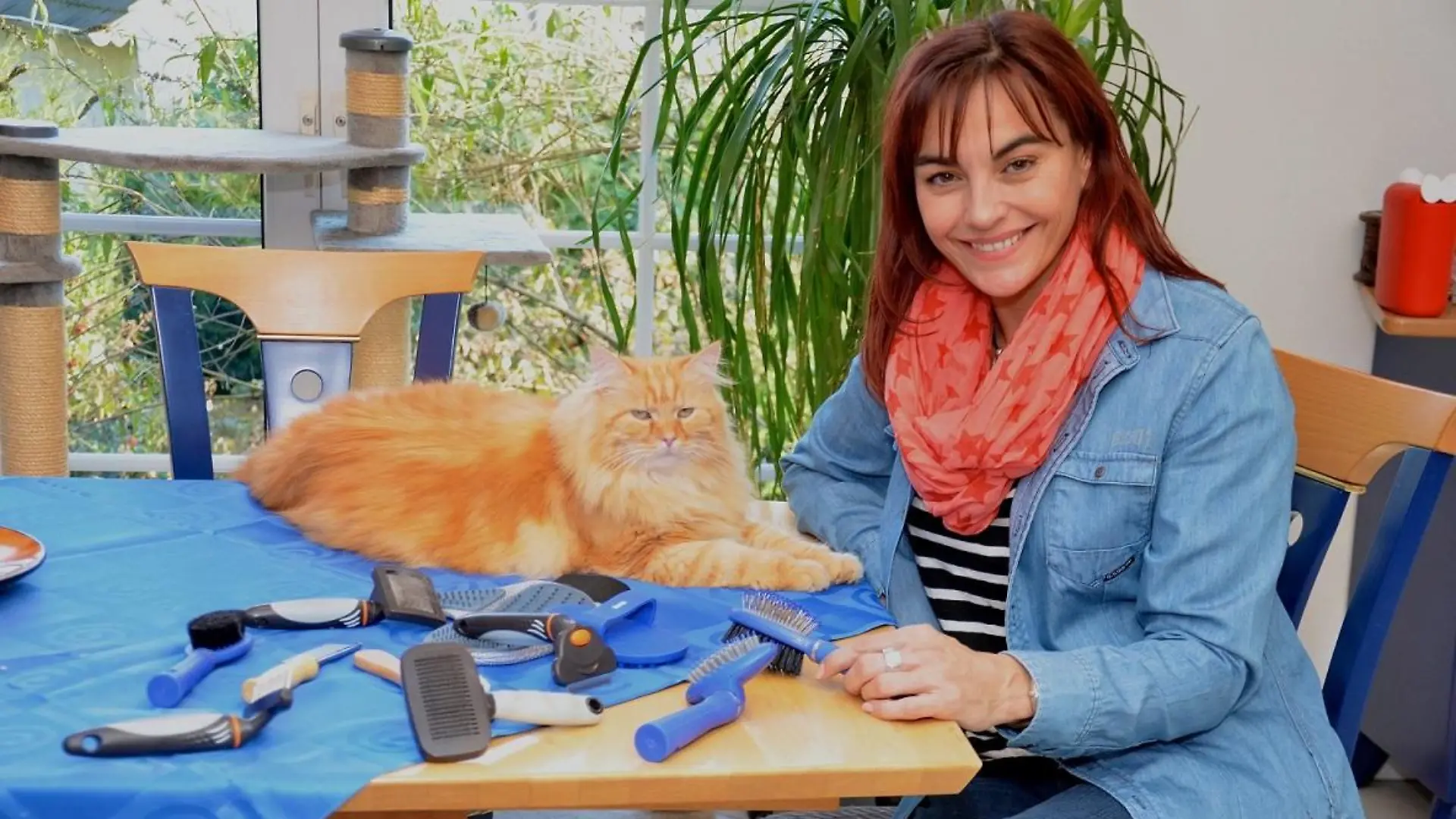 Tiergeschichten2 - VOX-DOCMA TV-JULIA PANZER - Katzenbrsten-Test