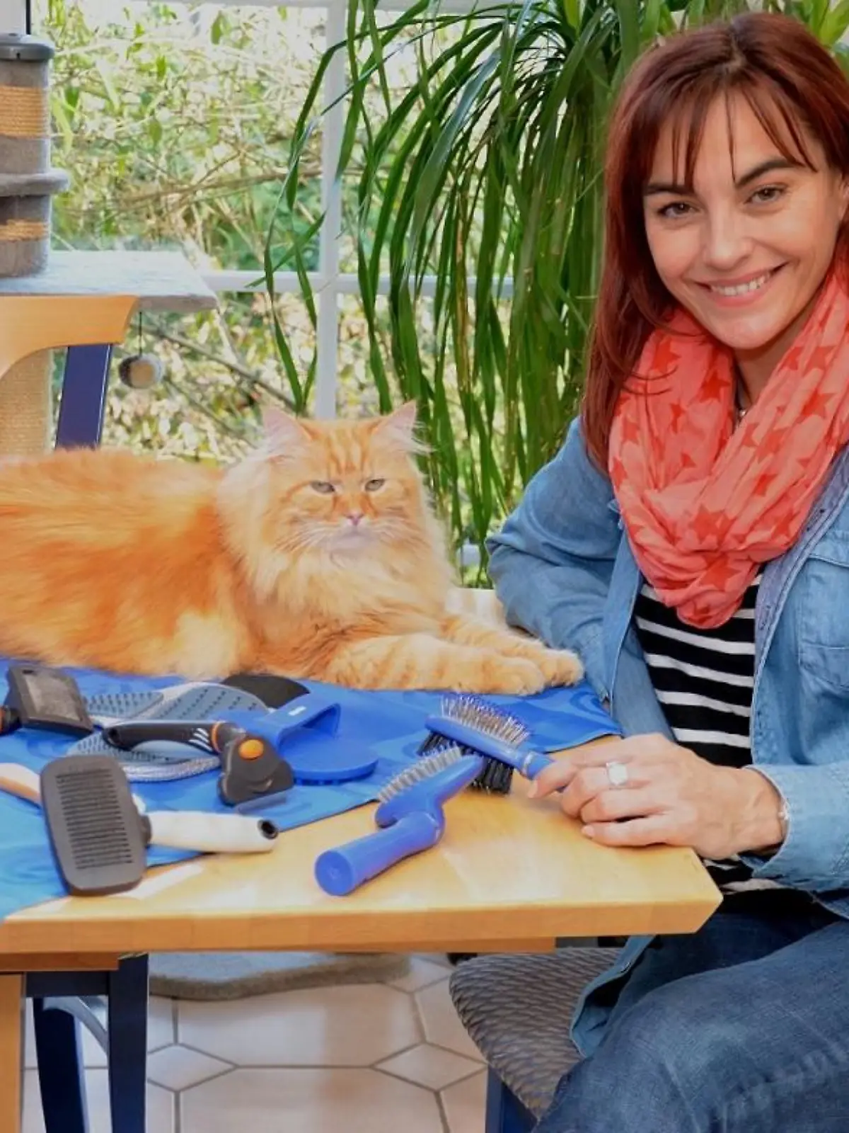 Tiergeschichten2 - VOX-DOCMA TV-JULIA PANZER - Katzenbrsten-Test