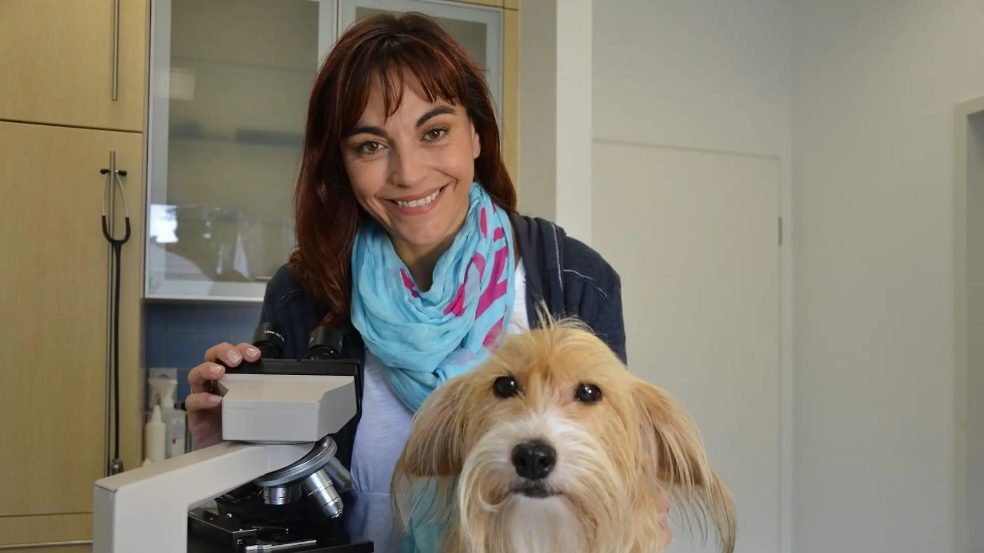 Vorschau2 - VOX-Docma TV-SEBASTIAN TAUDTE - Diana klrt ber Parasiten beim Hund