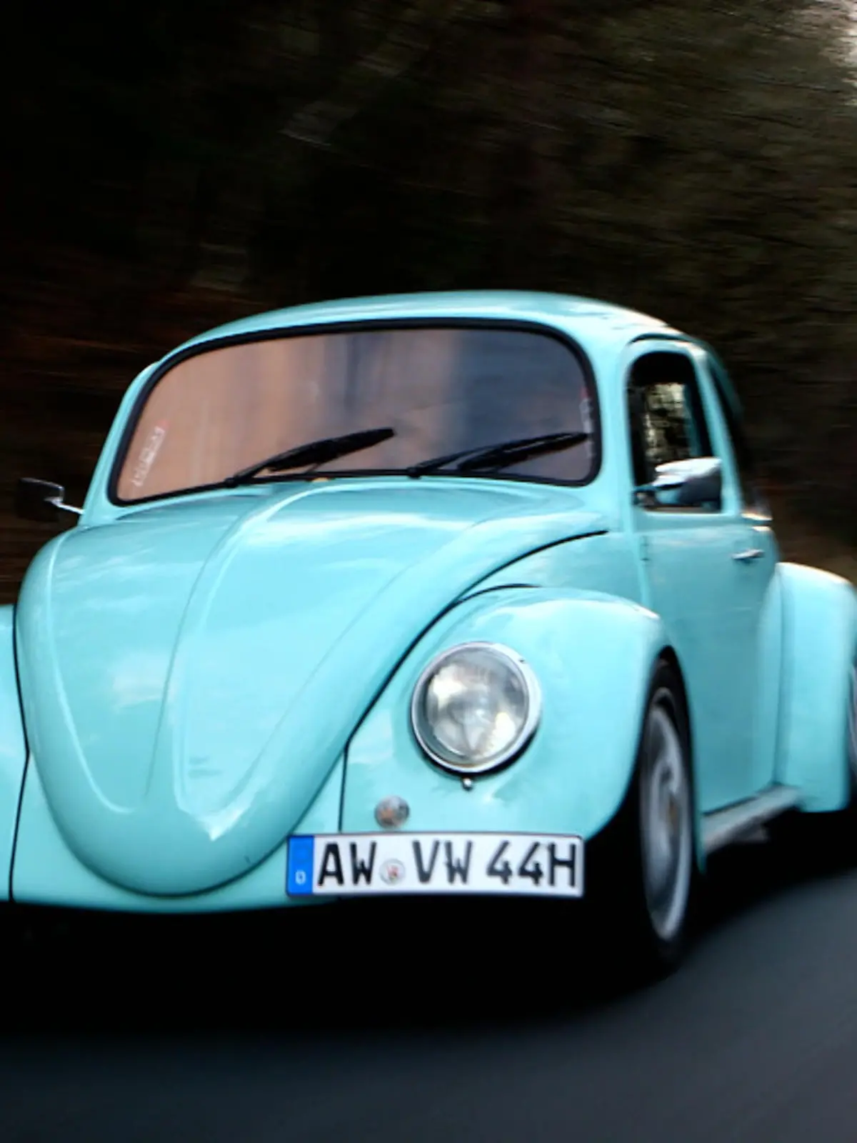 Kaefer002