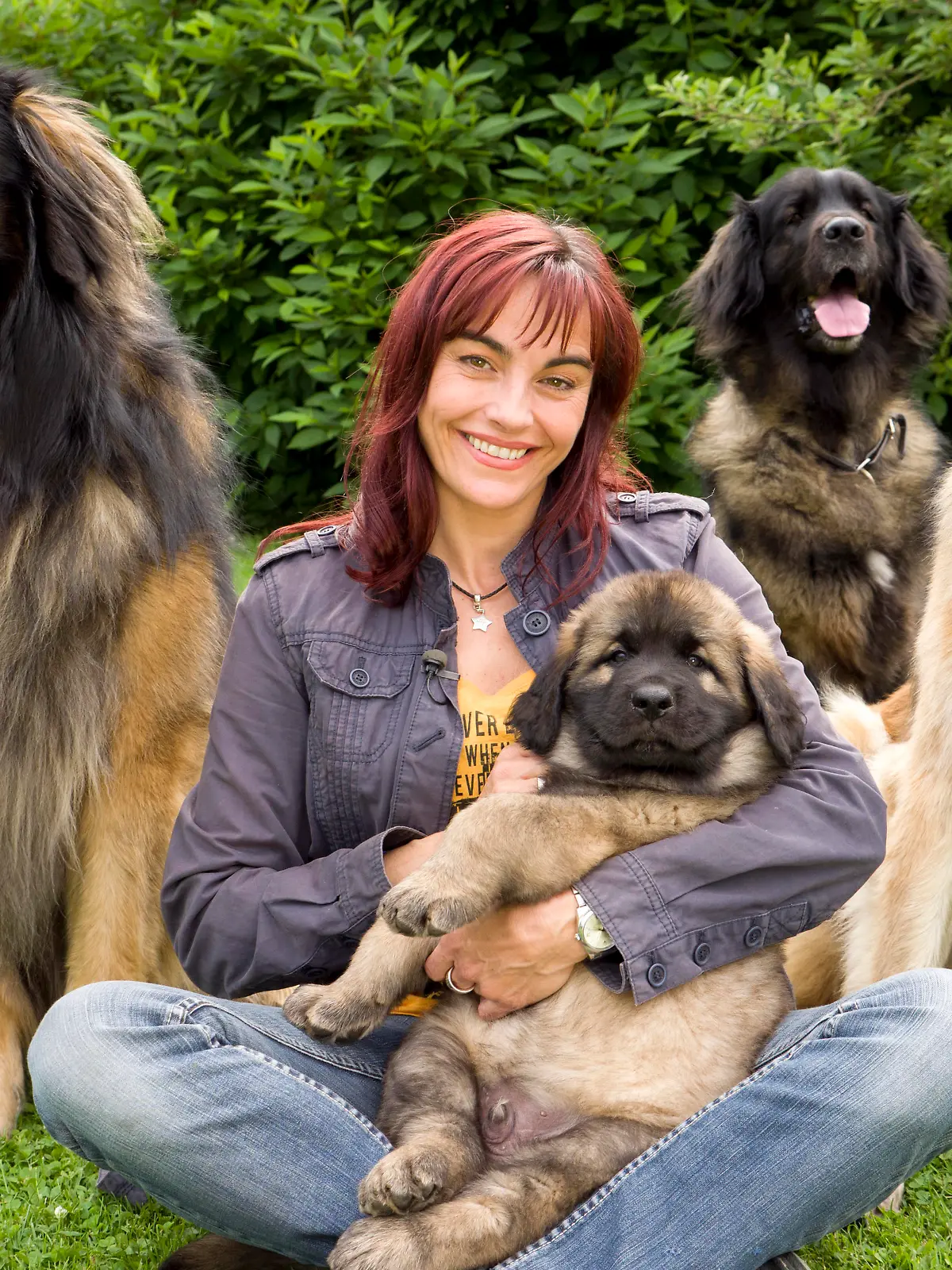 hkm Leonberger4.VOX DOCMA TV.jpg