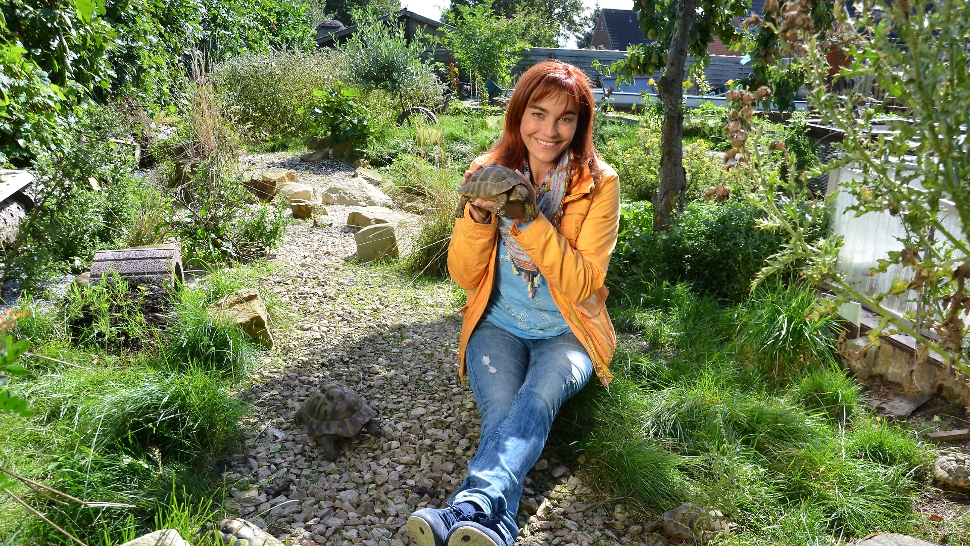 Griechische Landschildkrten VOX DOCMA TV