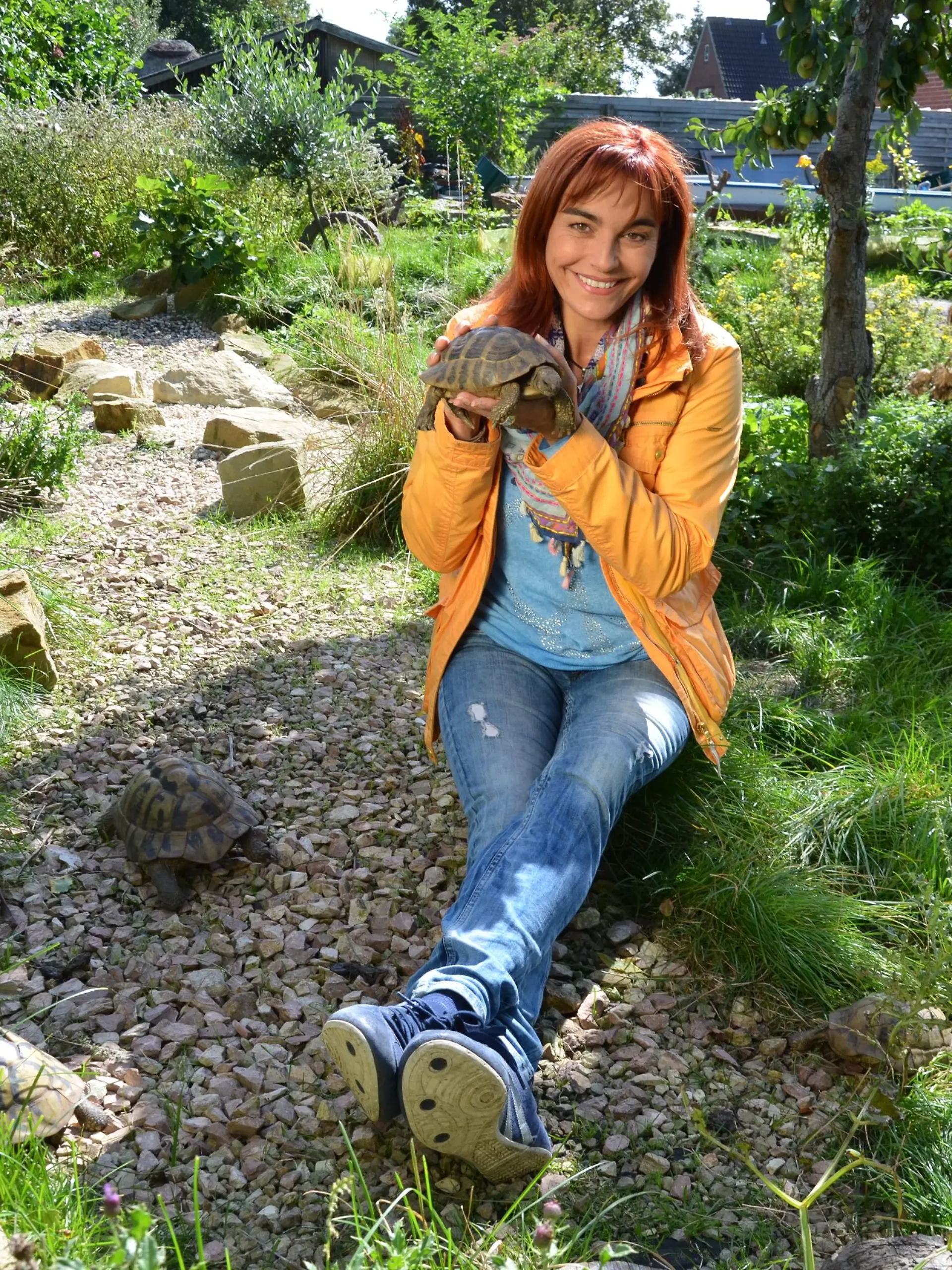 Griechische Landschildkrten VOX DOCMA TV