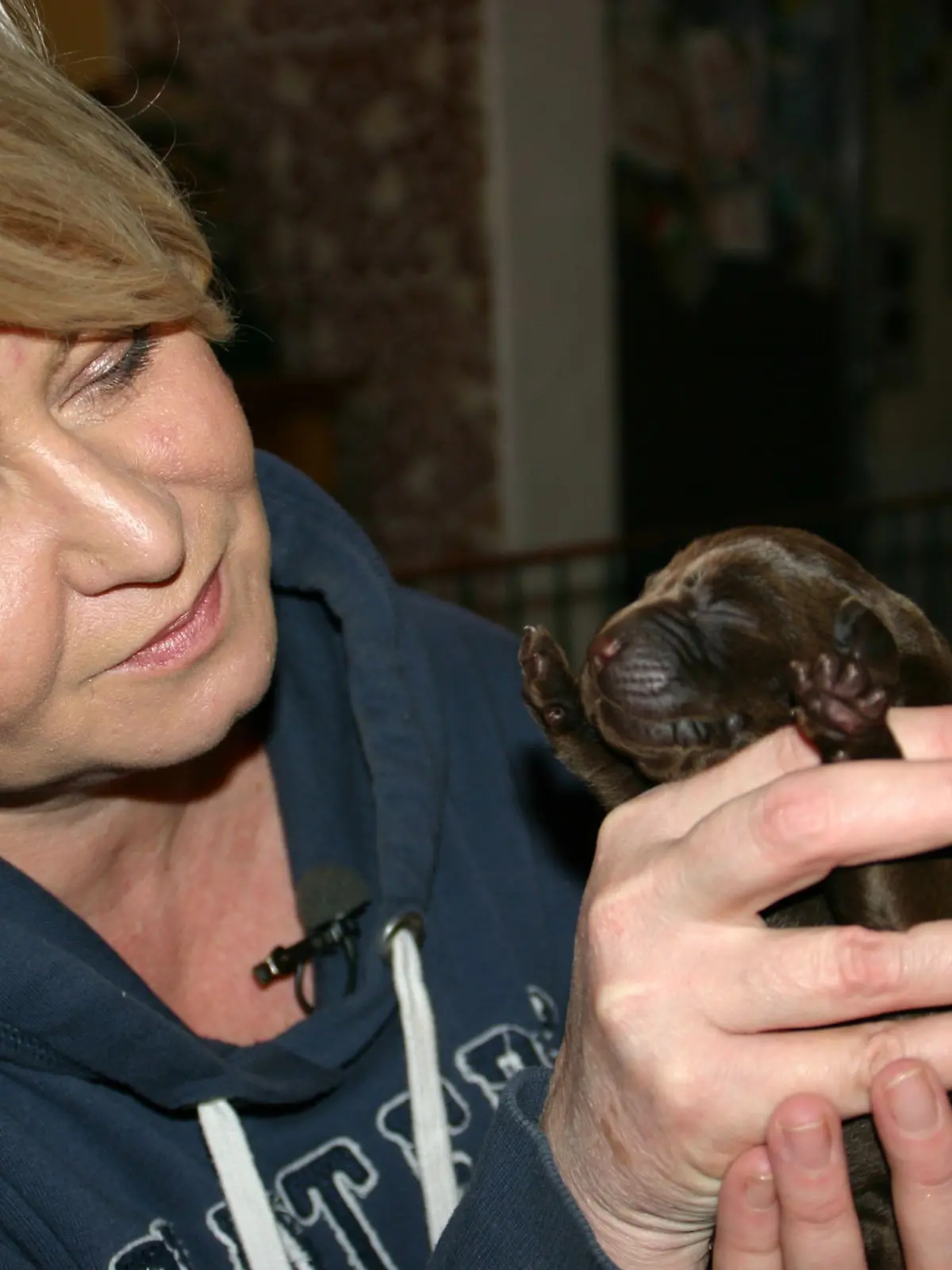 Züchterin Christiane Sammer hofft, dass eines Tages aus dem Labradorwelpen Dolph ein toller Blindenführerhund wird.