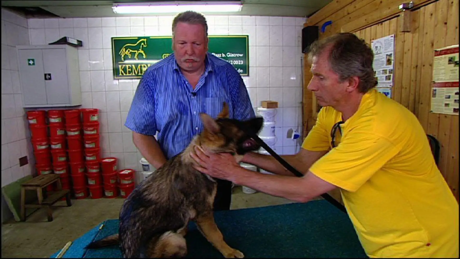 Tiergeschichten4 - TammeHanken und Schferhund
