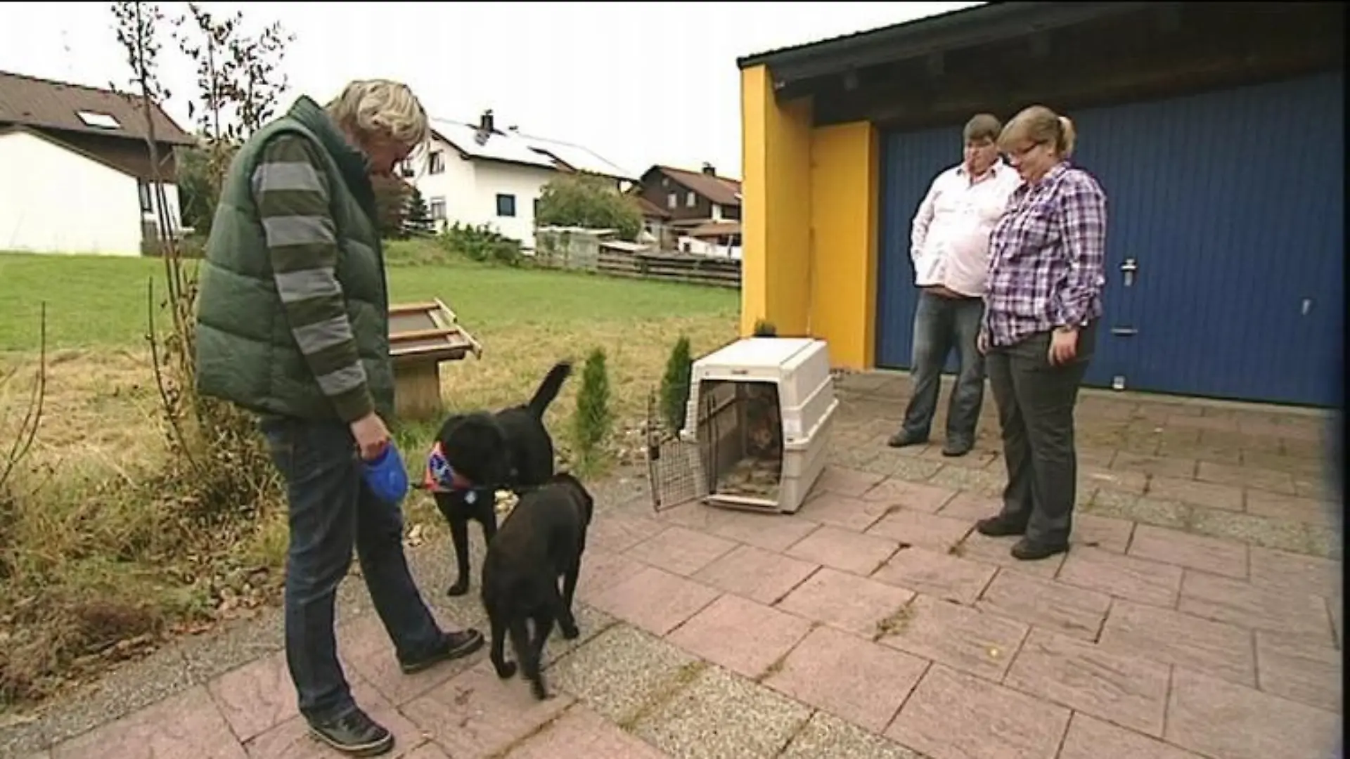 tiere in not fank weber hund vita