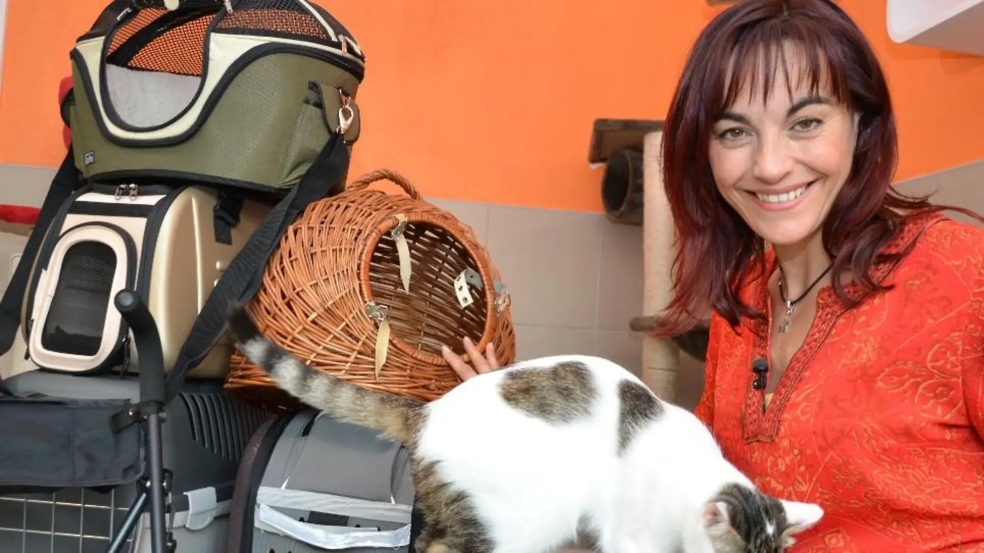 Tiergeschichten3 - VOX-DOCMA TV - Diana testen Katzentransportboxen