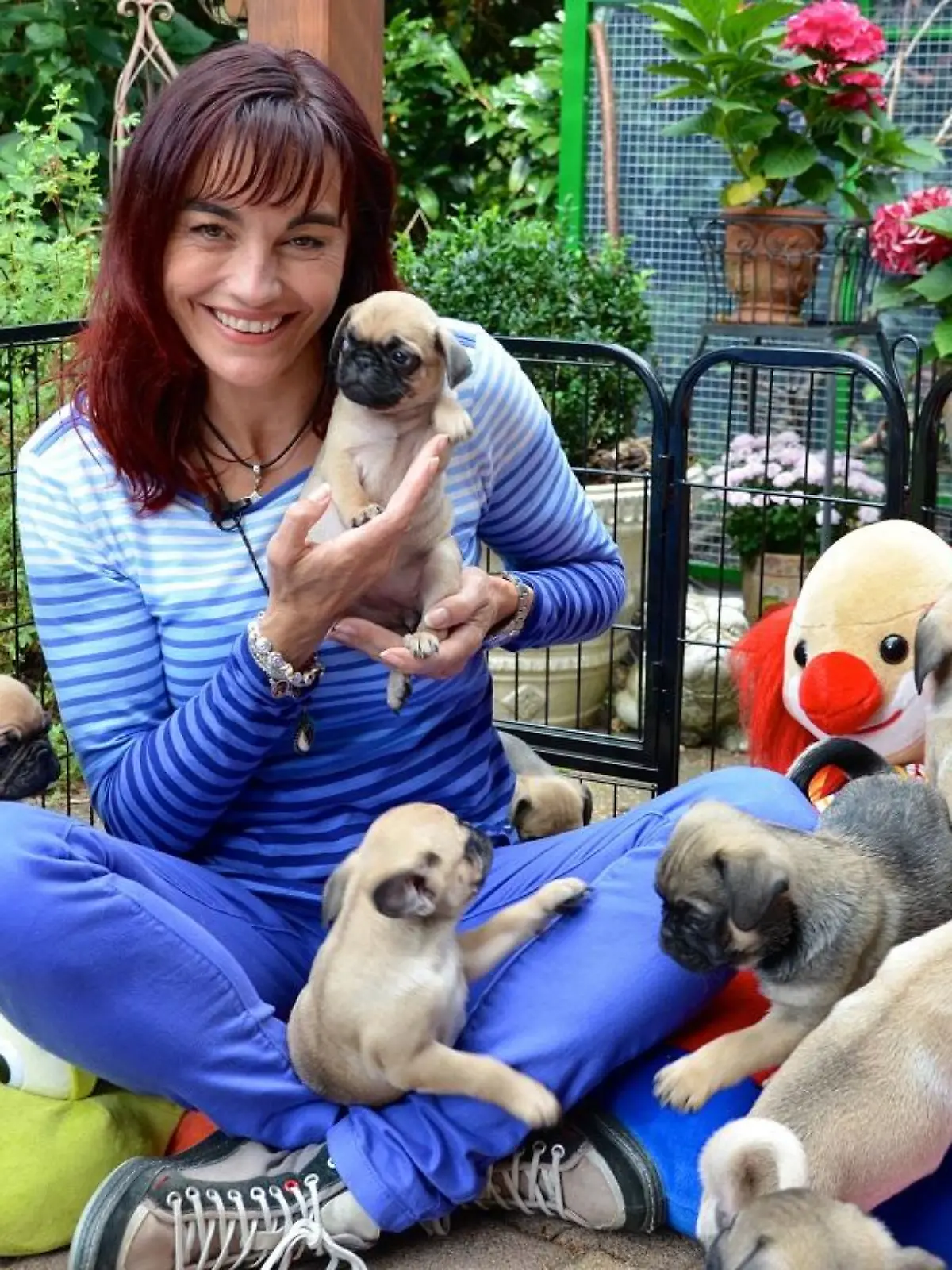Tiergeschichten2 - VOX-DOCMA TV-HEIKE REINHARDT - Retromops-Welpen