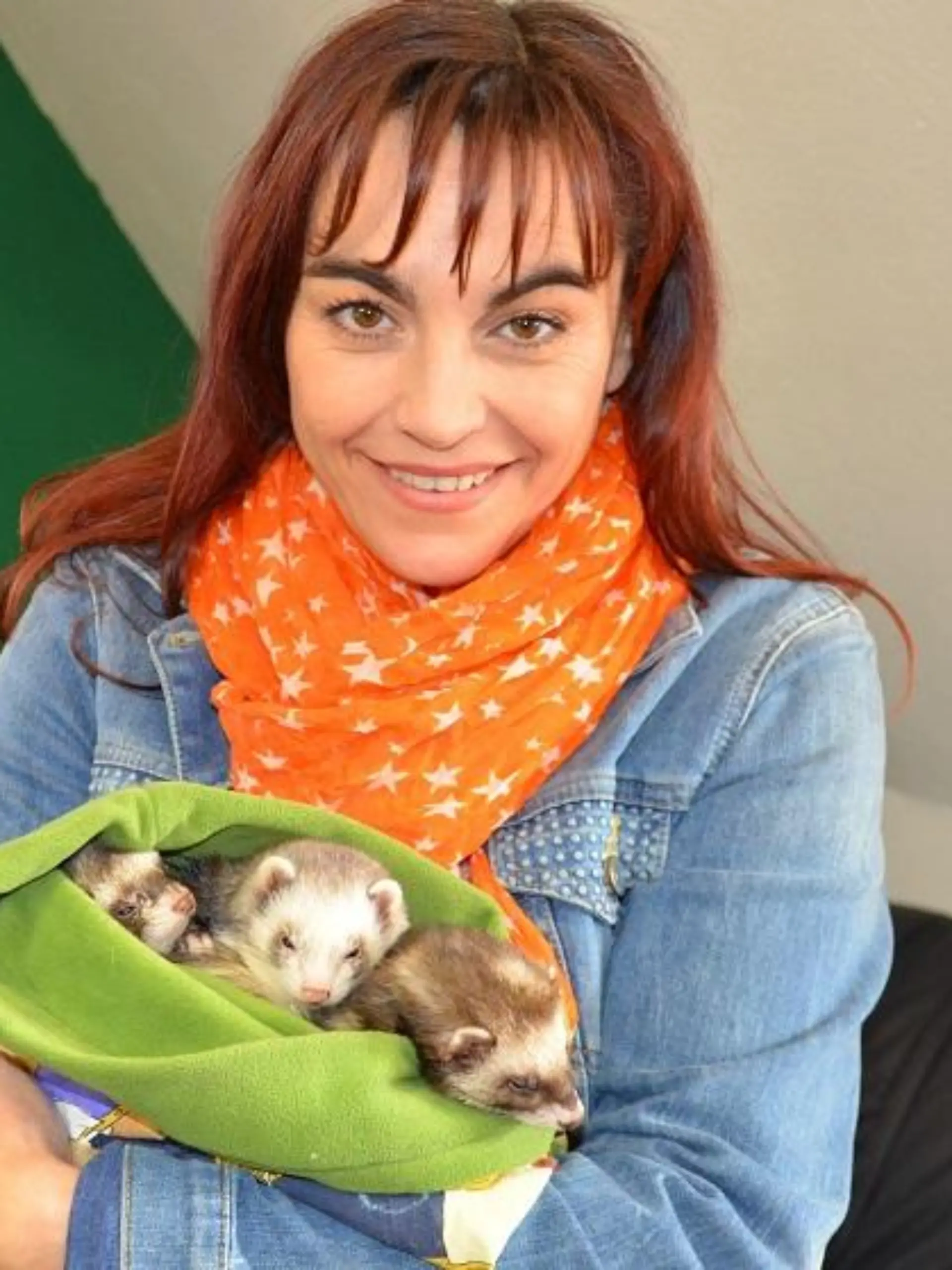 Tiergeschichten2 - VOX-DOCMA TV - Diana informiert sich ber die freie Wohnungshaltung von Frettchen