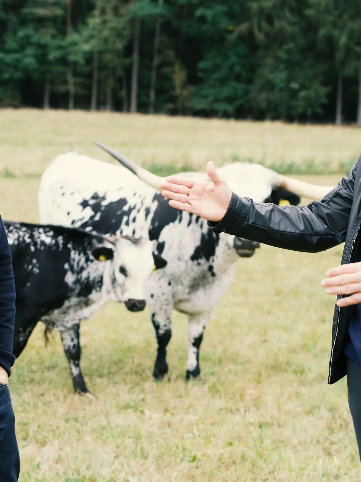 Tim Mälzer (l.) und Alexander Herrmann auf der Texas Longhorn Ranch.