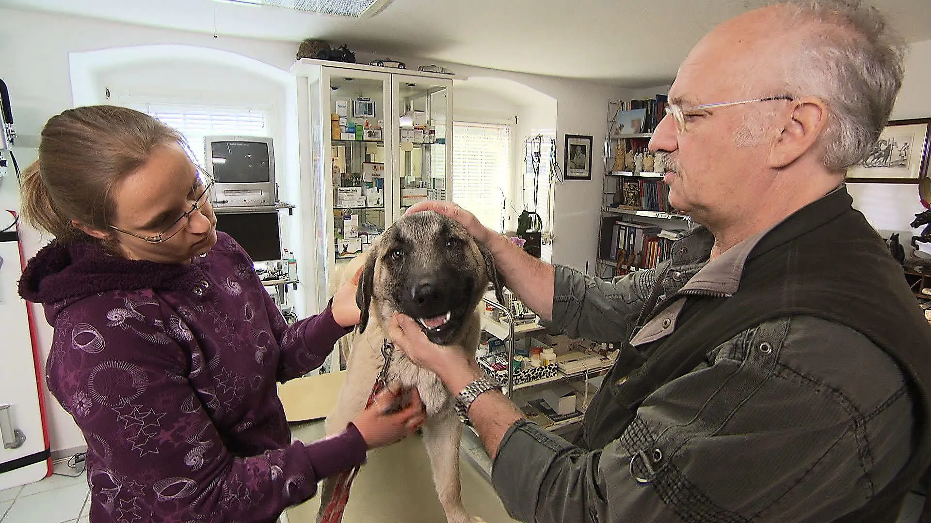 Sprechstunde - Dr. Wolf und Hund mit altem Bruch (1)