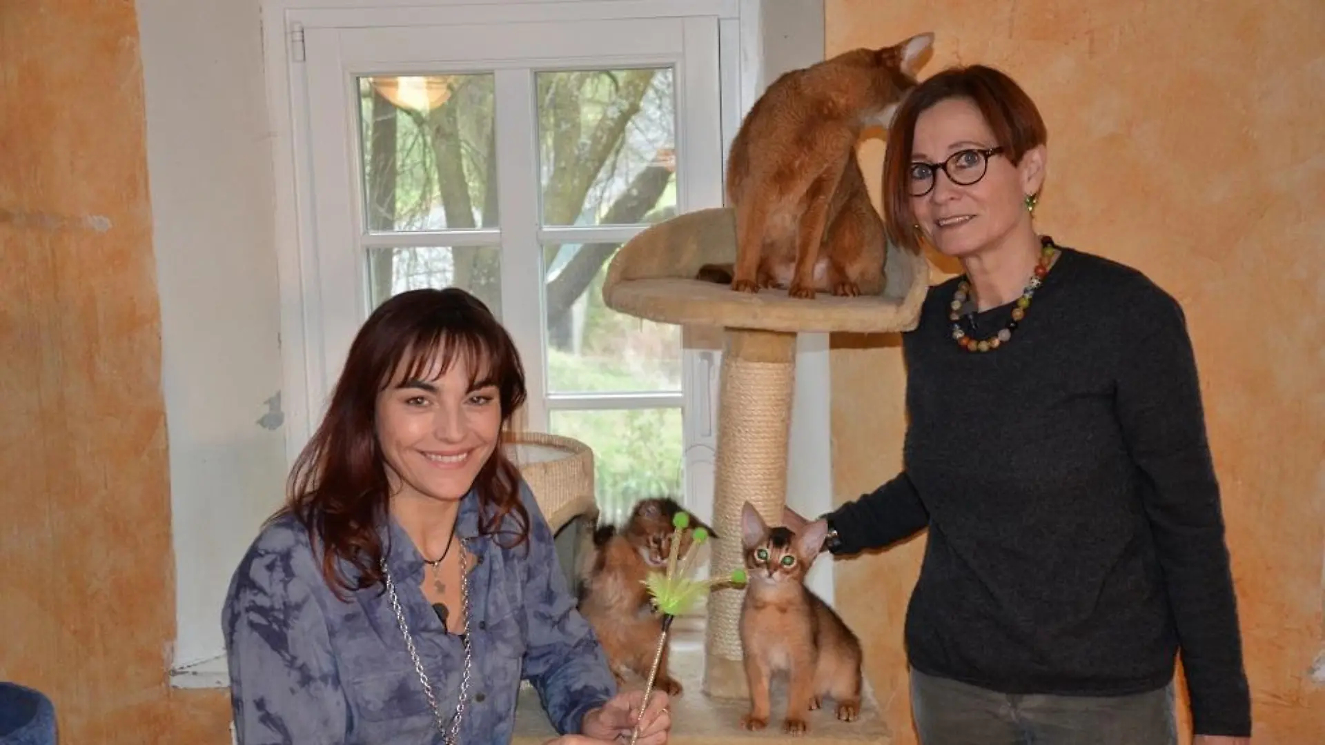 Vorschau2 - VOX-DOCMA TV-DANIEL VOGT - Diana mit Alice Rosol und Somali-Katzen
