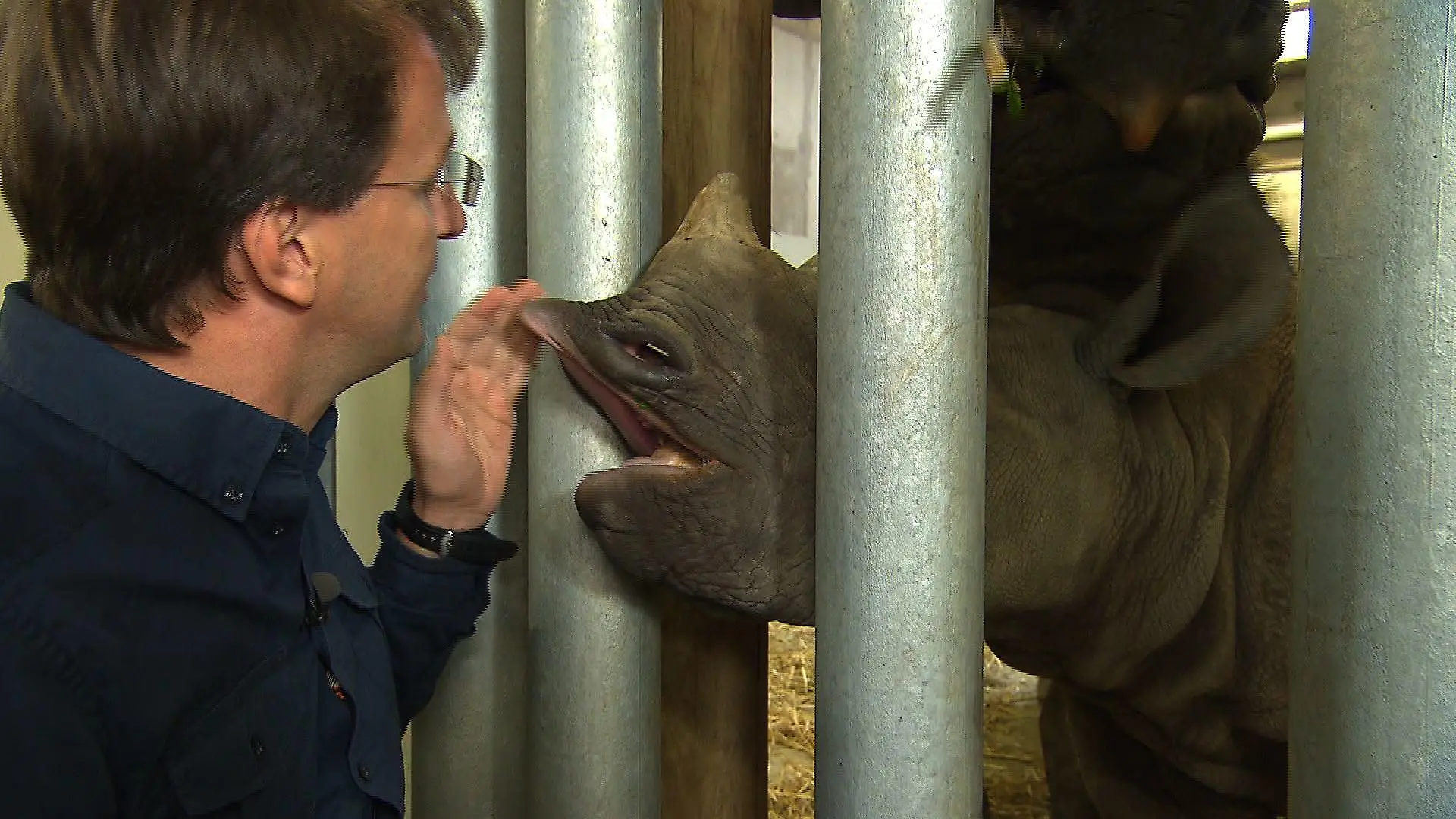 Tiergeschichten4 - Matthias Reinschmidt und Spitzmaulnashorn-Baby