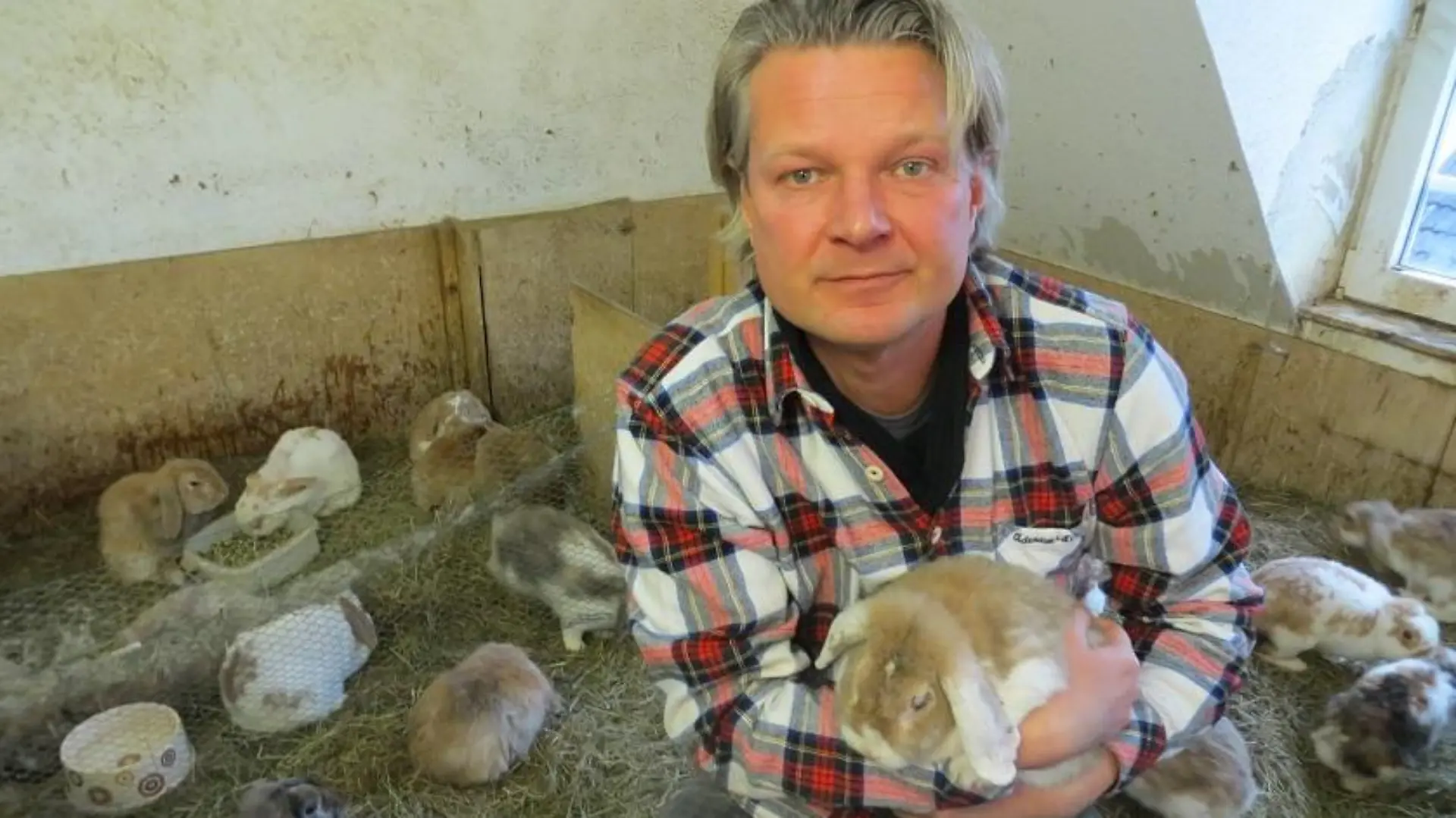 Tiere in Not - VOX-DOCMA TV - Frank geht einem Fall von Animal-Hoarding bei Kaninchen nach