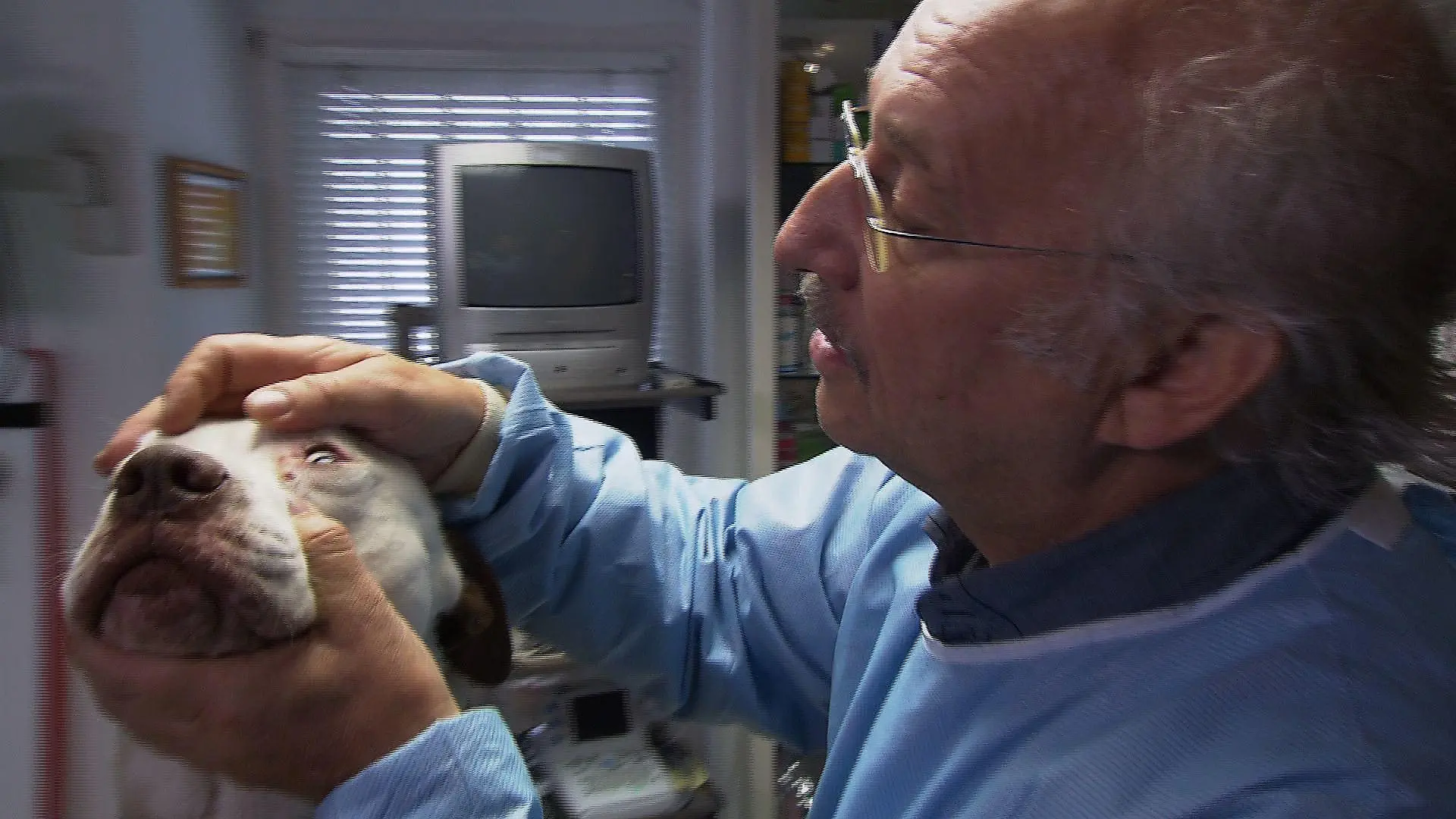 Sprechstunde - Dr. Wolf und Hund mit Zecke