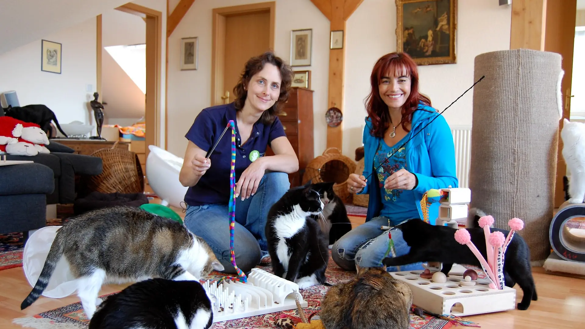 Tiergeschichten 2 - Bild 1 - Diana - Katzenbeschftigung