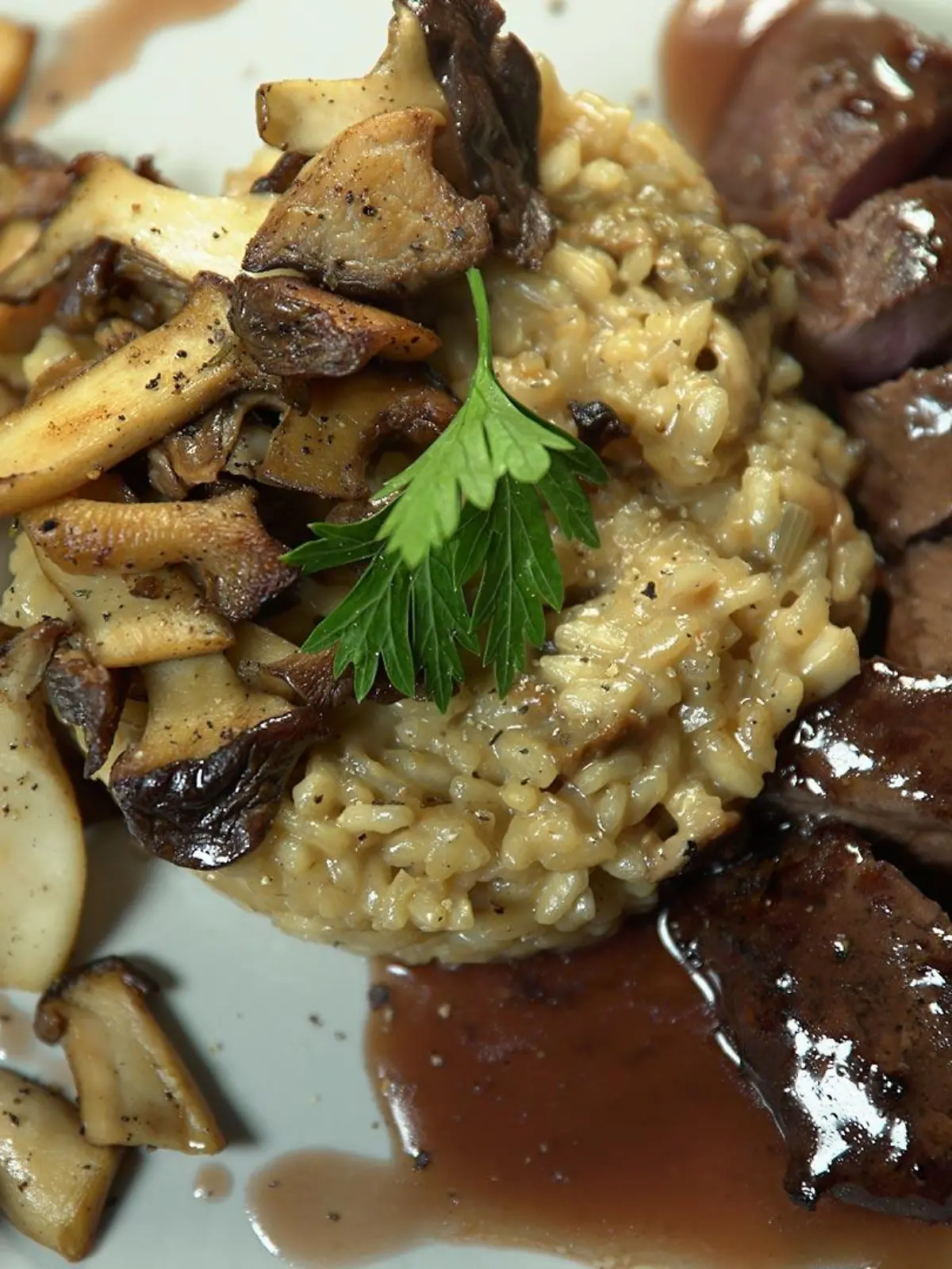 Das perfekte Dinner: Sous-vide gegarter Rehrücken auf Pilzrisotto mit Rotweinjus - Maxs Hauptspeise