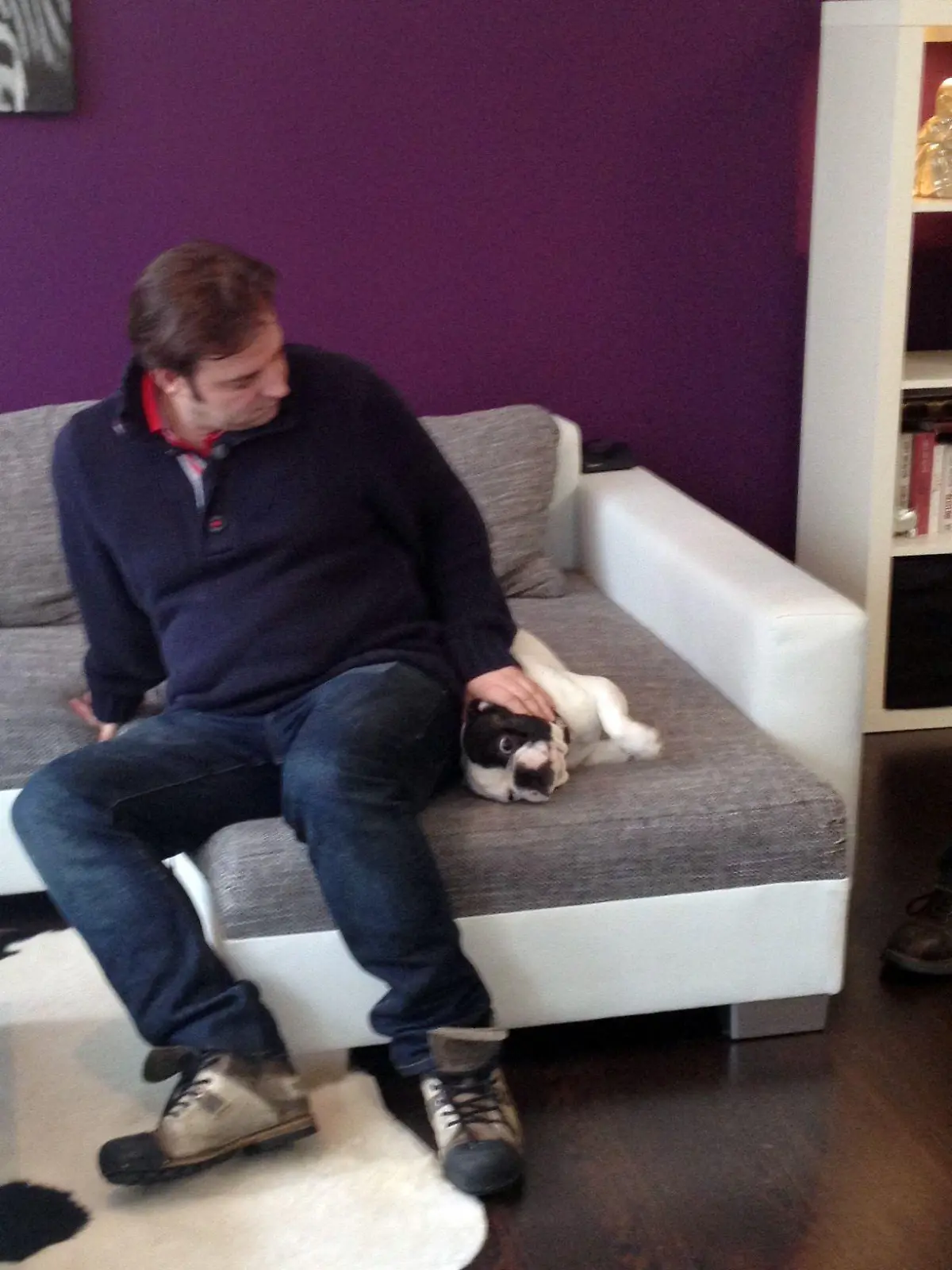 Martin Rütter zeigt der französischen Bulldogge "Bruno" wer der Herr auf dem Sofa ist!