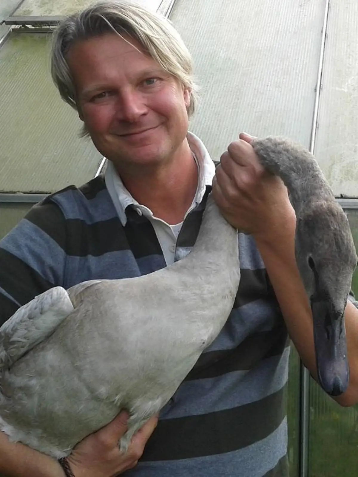 Tiere in Not - VOX-DOCMA TV - Hckerschwan Max leidet an Kippflgeln. Wird Frank Weber dem flugunfhigen Tier helfen knnen..