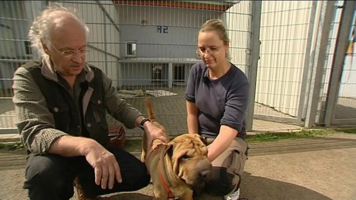 sprechstunde1 dr wolf shar pei