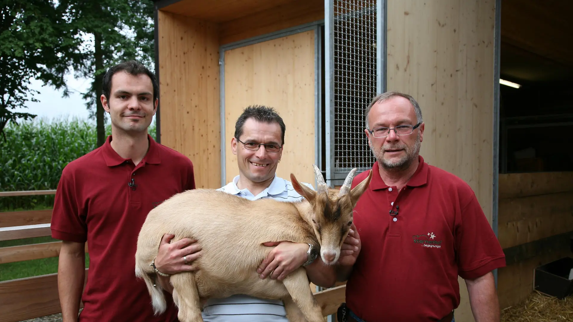 tiergeschichten2 - Sternenhof 2