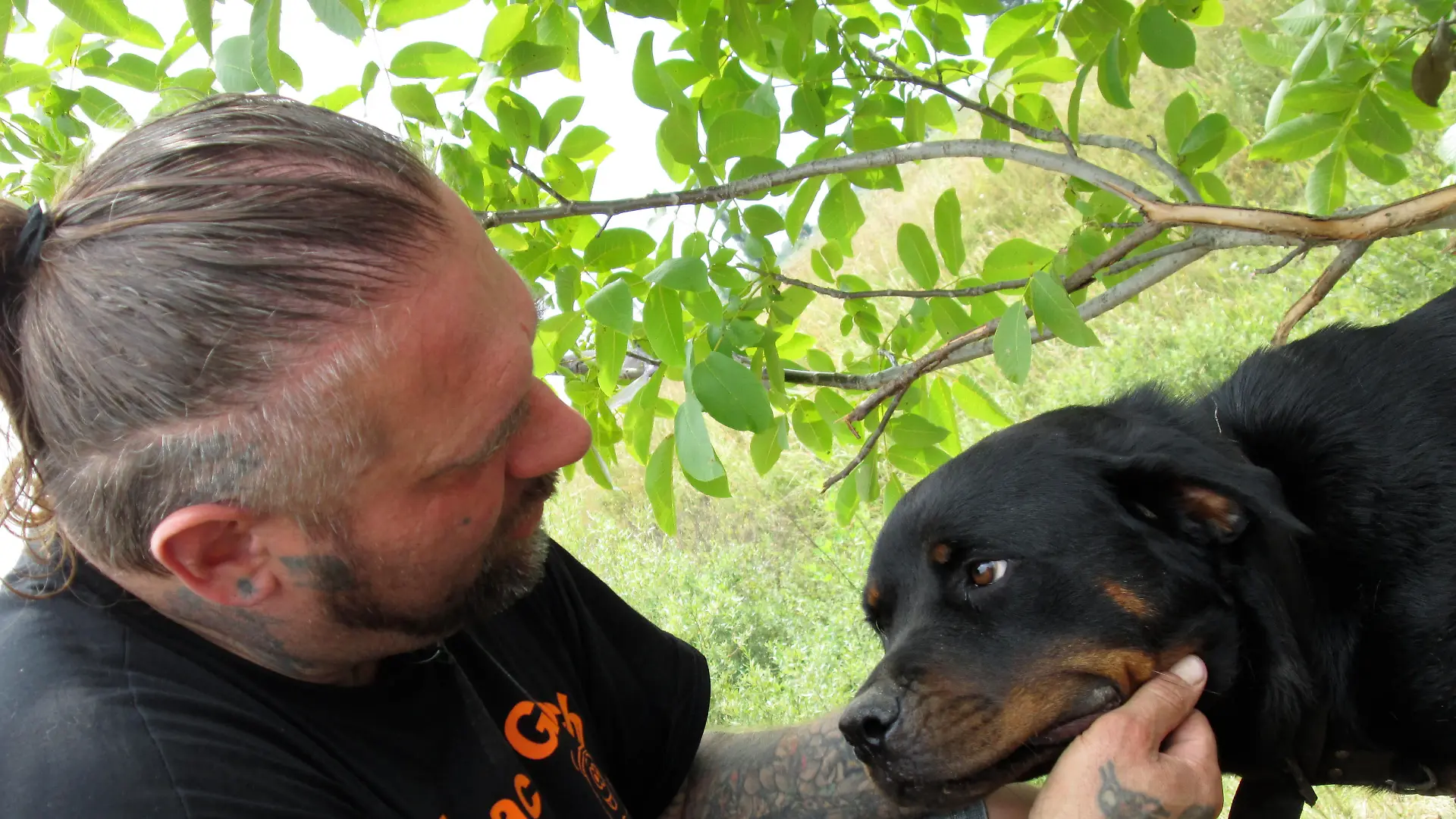 Tiergeschichten3 - Ralf Seeger und Kettenhund Rottweiler