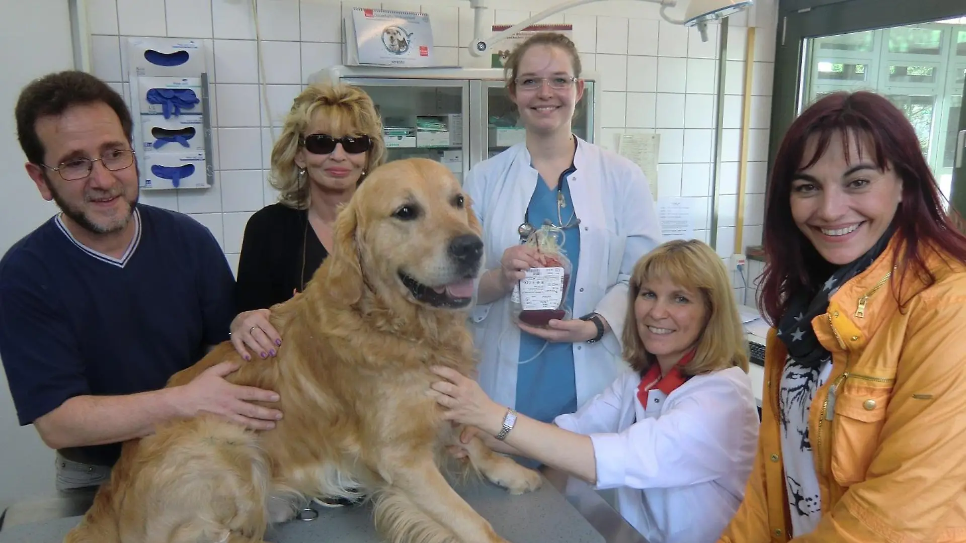 Tiergeschichten1 - VOX-DOCMA TV - Bernie beim Blutspenden