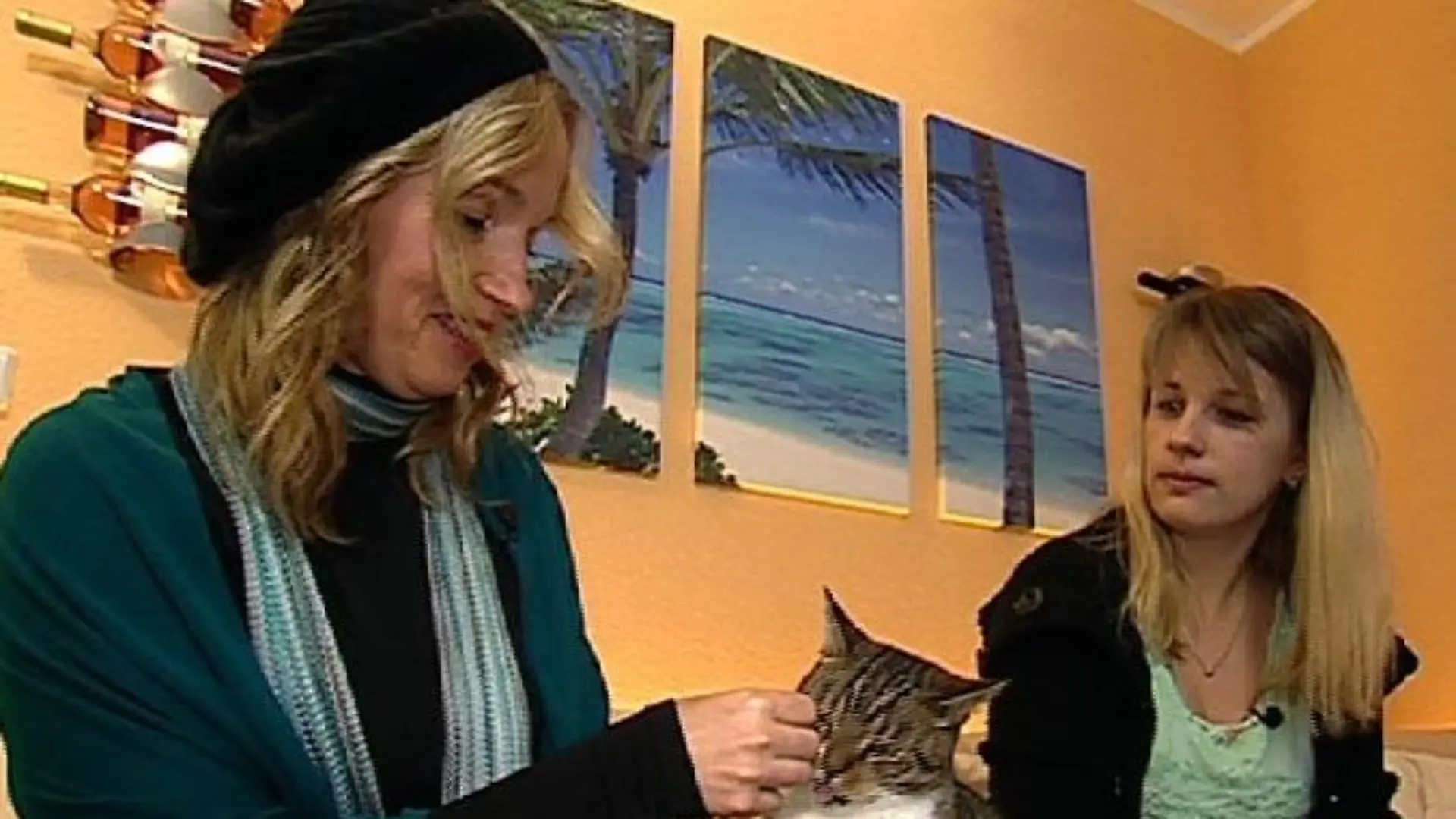 Katzentherapeutin 2 - Ersatzbild Birga Dexel und Piwi