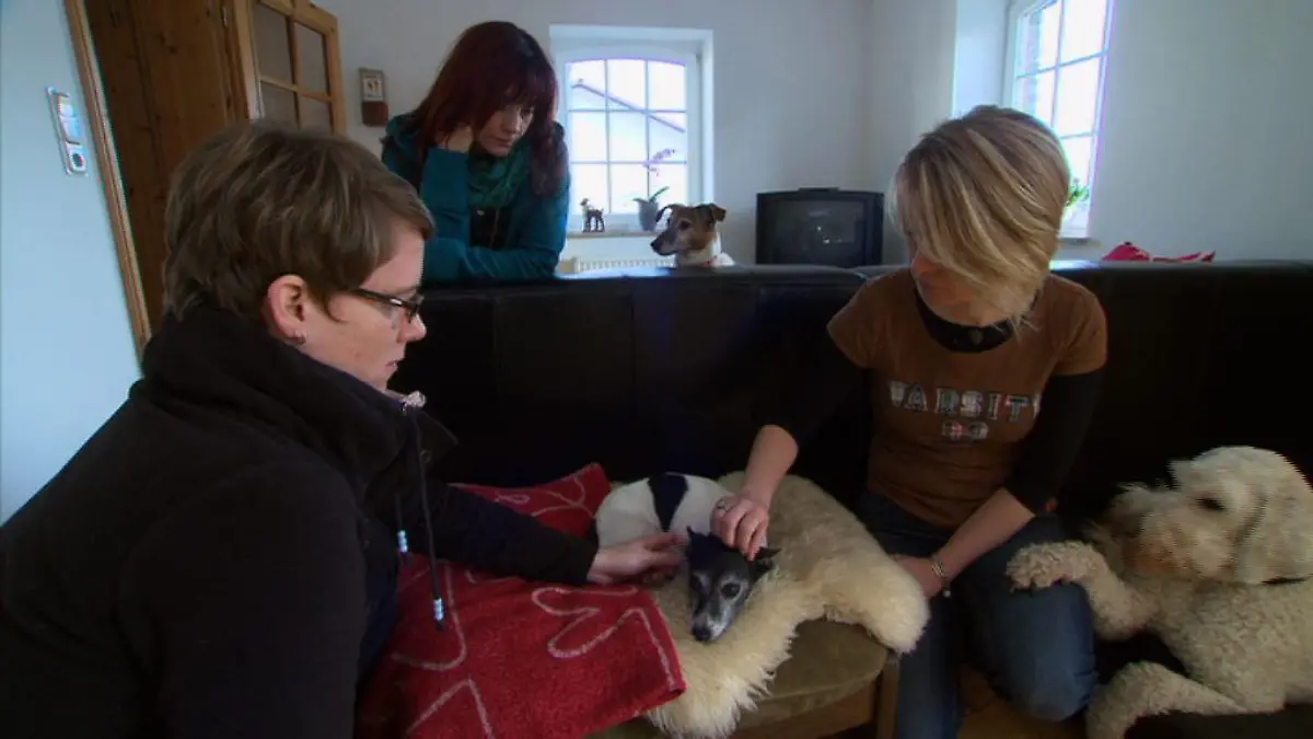 Tiergeschichten2 - Bild 2 - Diana begleitet Sterbebegleitung Sonja Tschpe