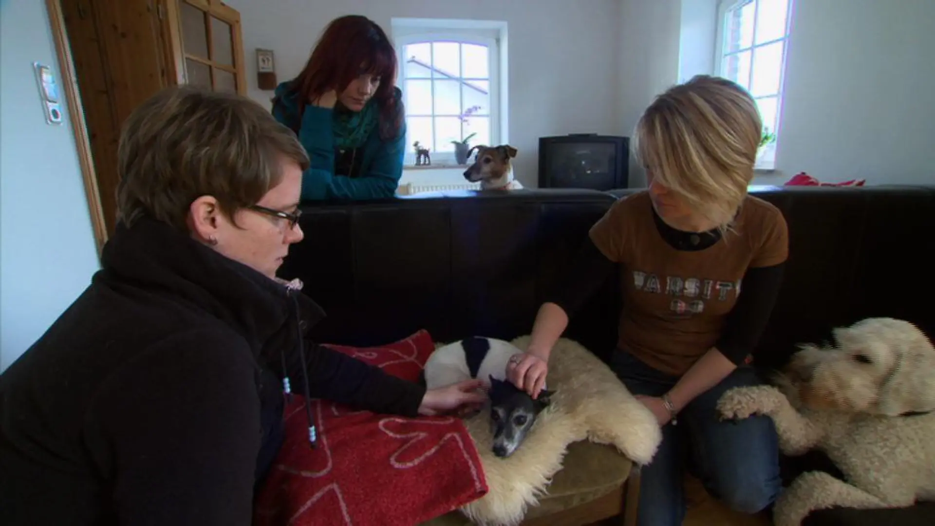 Tiergeschichten2 - Bild 2 - Diana begleitet Sterbebegleitung Sonja Tschpe