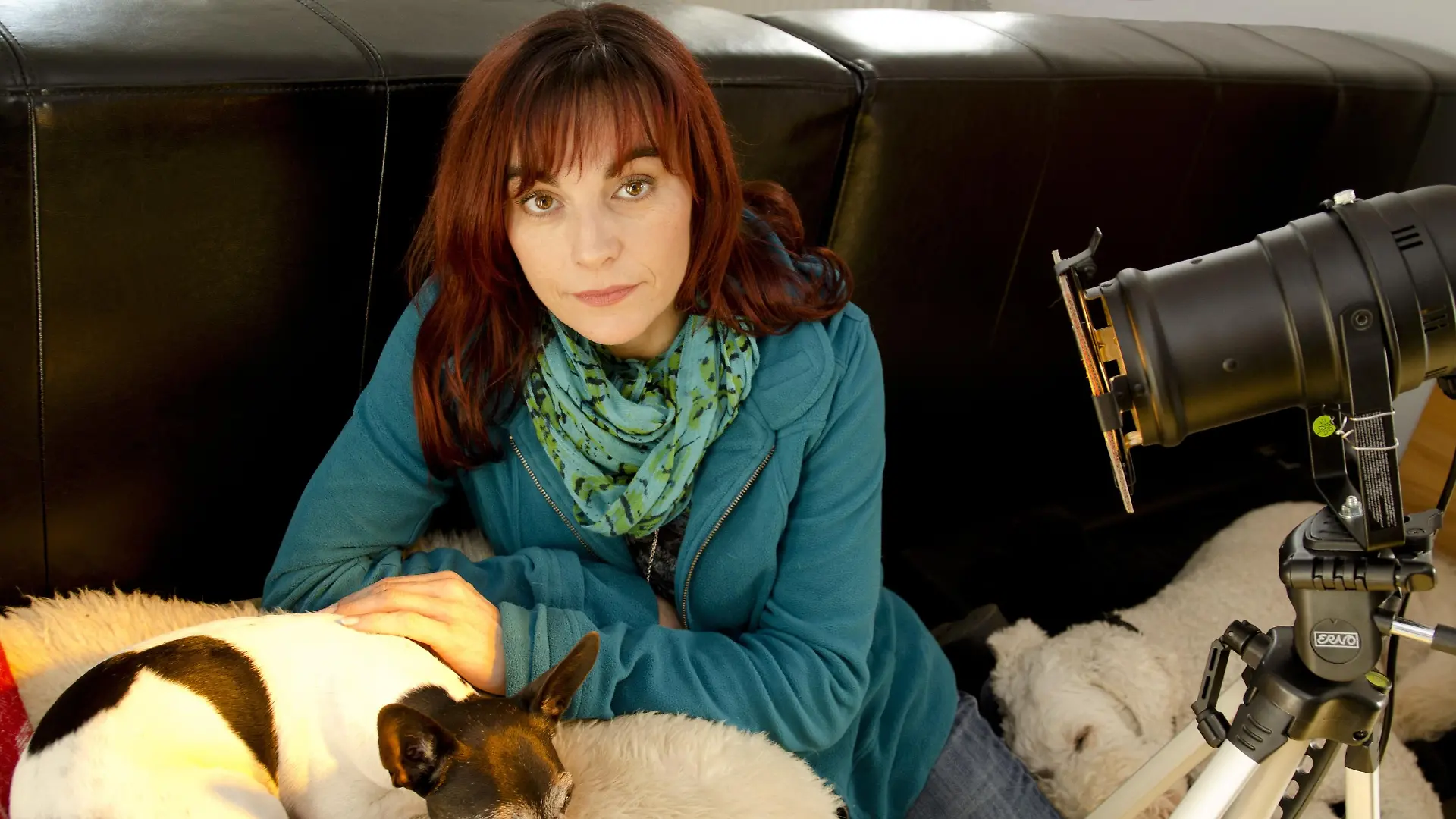 Tiergeschichten2 - Bild 2 - Sterbebegleitung - Farblichttherapie bei Amy
