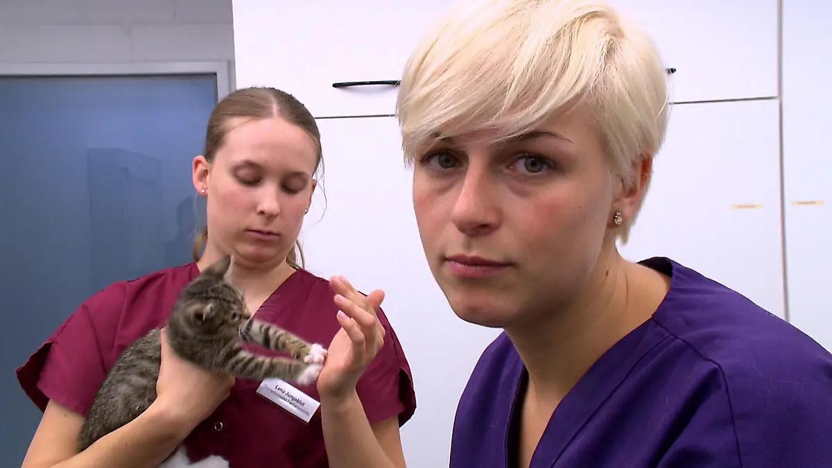 Tierklinik