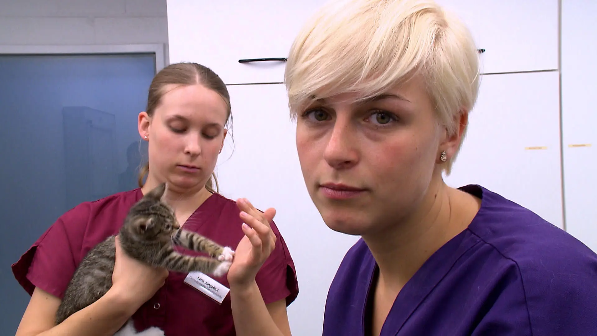 Tierklinik