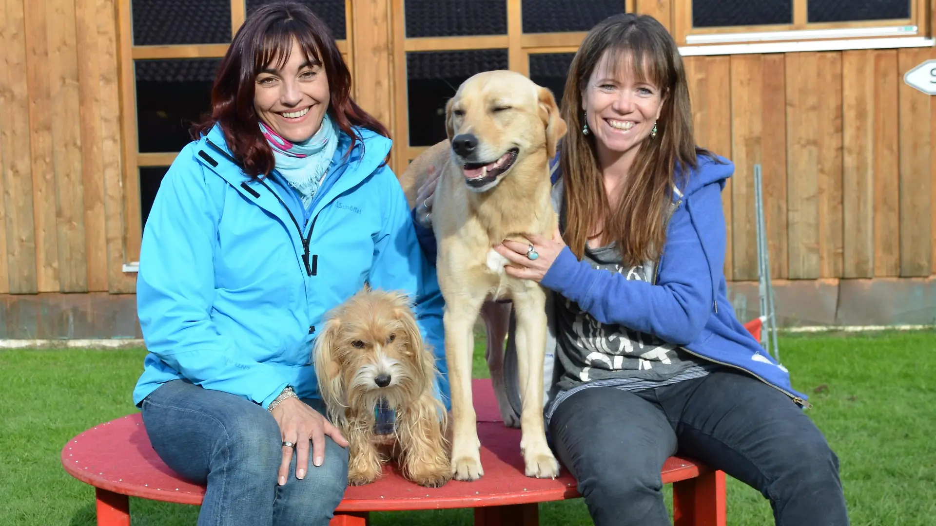 Vorschau2 - JAD-Dogs