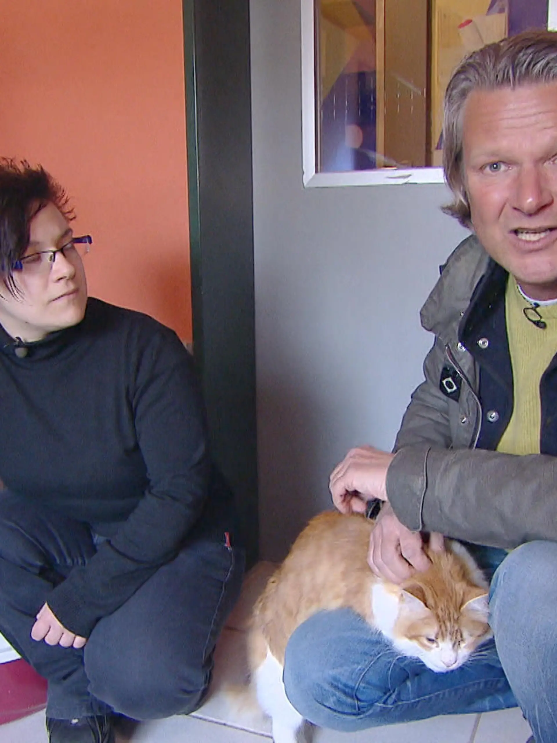 01 Blinde Katze.VOX