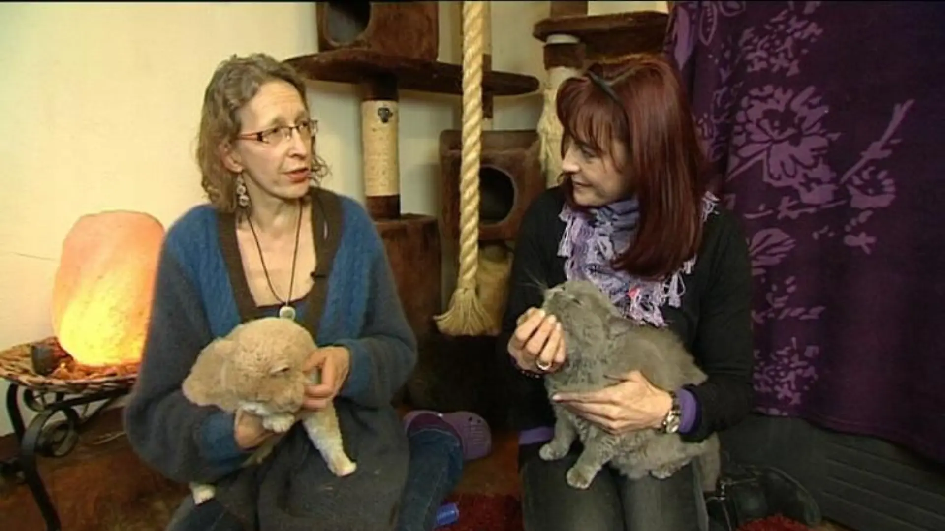 tiergeschichten1 diana+züchterin
