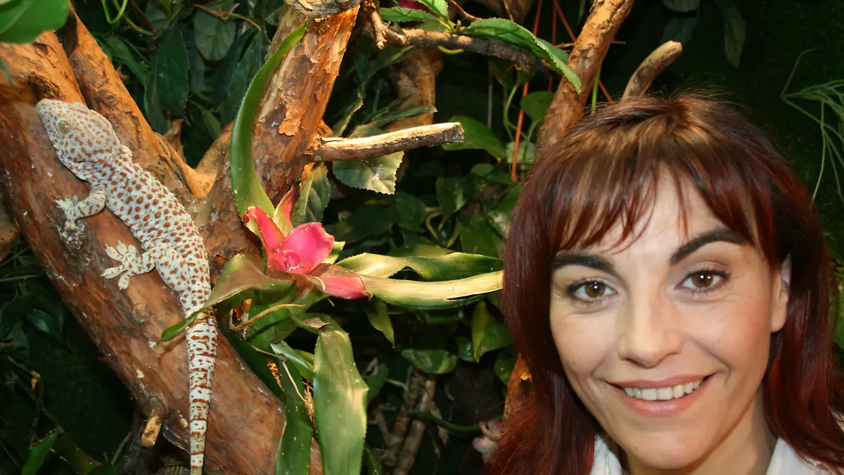Tiergeschichte 2 - Bild 1 - Diana und Riesengecko (2)