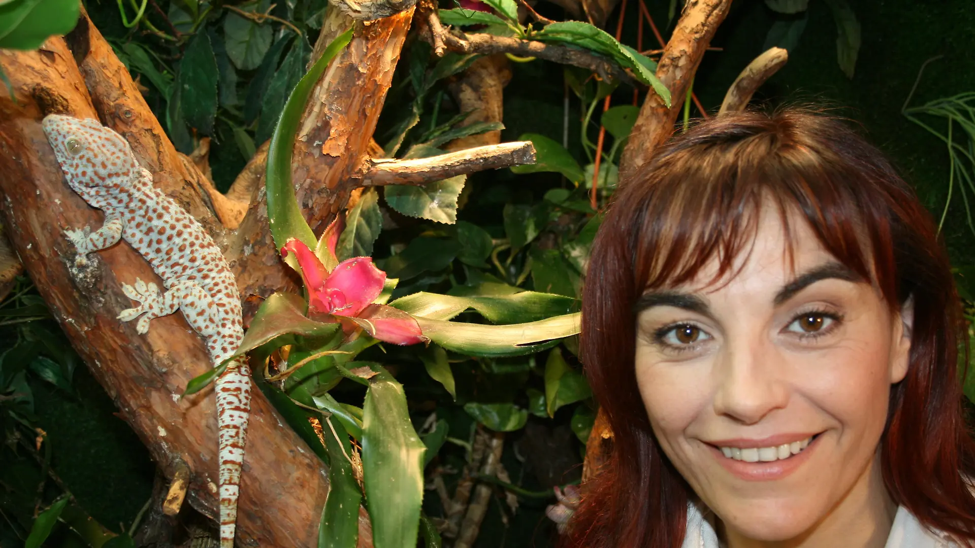 Tiergeschichte 2 - Bild 1 - Diana und Riesengecko (2)