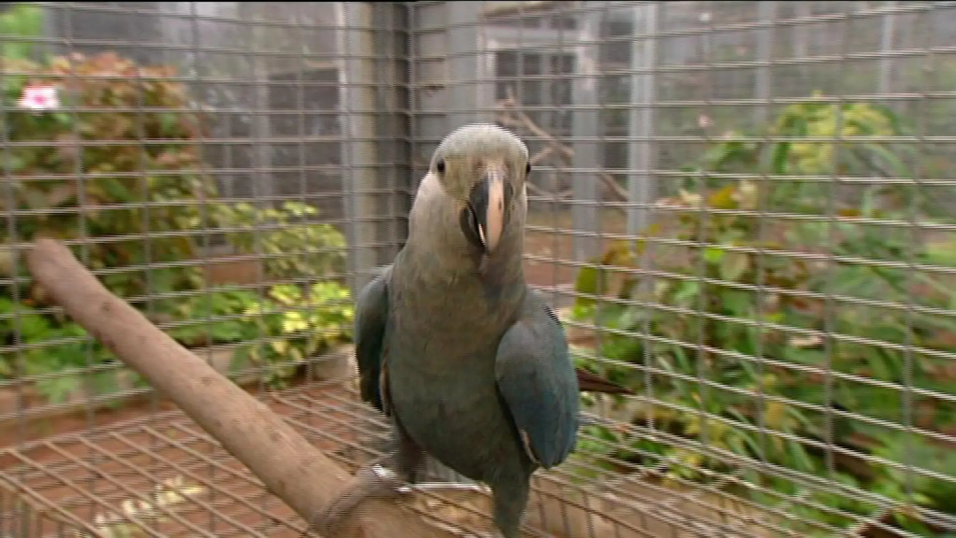 tiergeschichten2 a