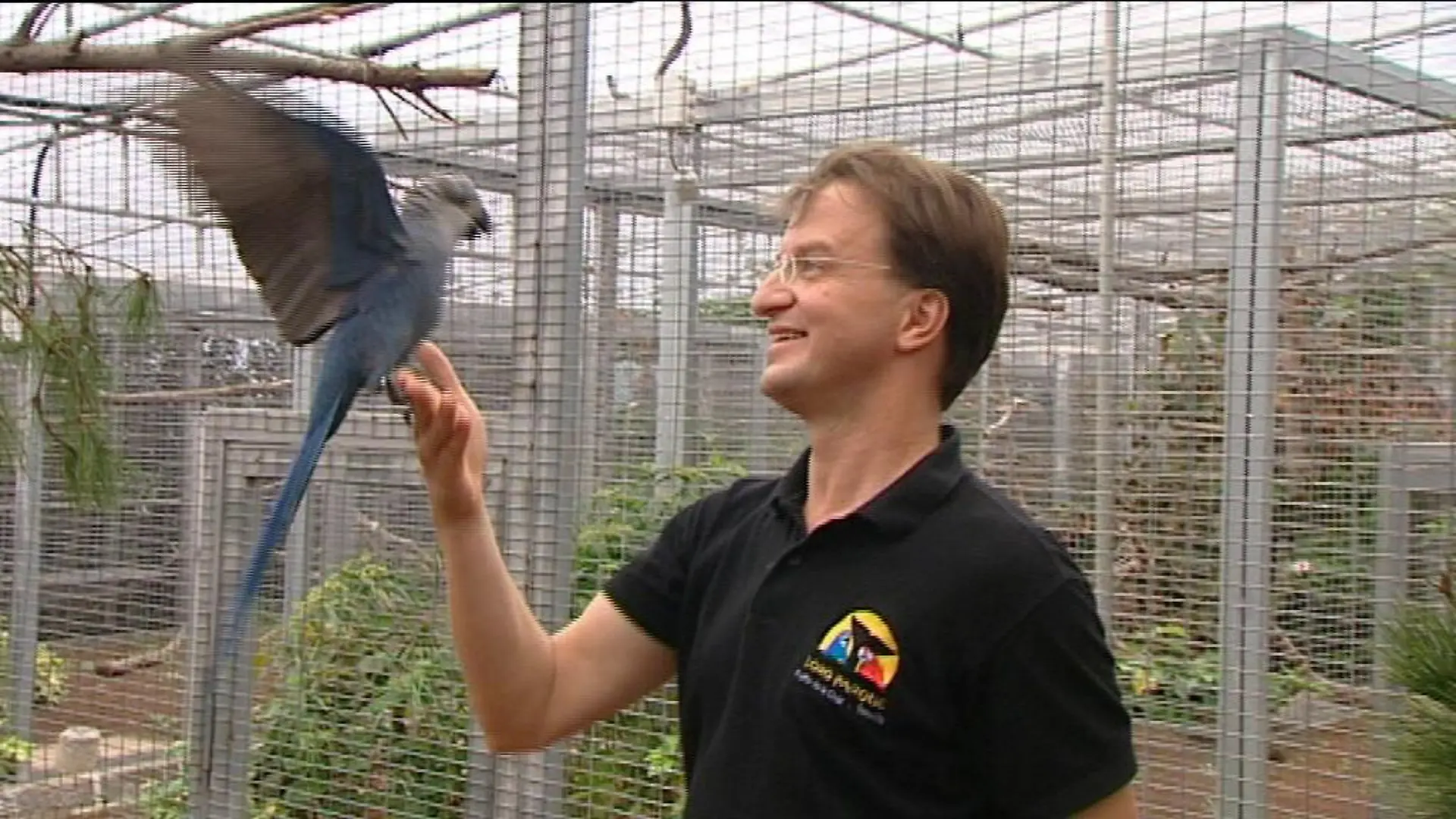 tiergeschichten2 b