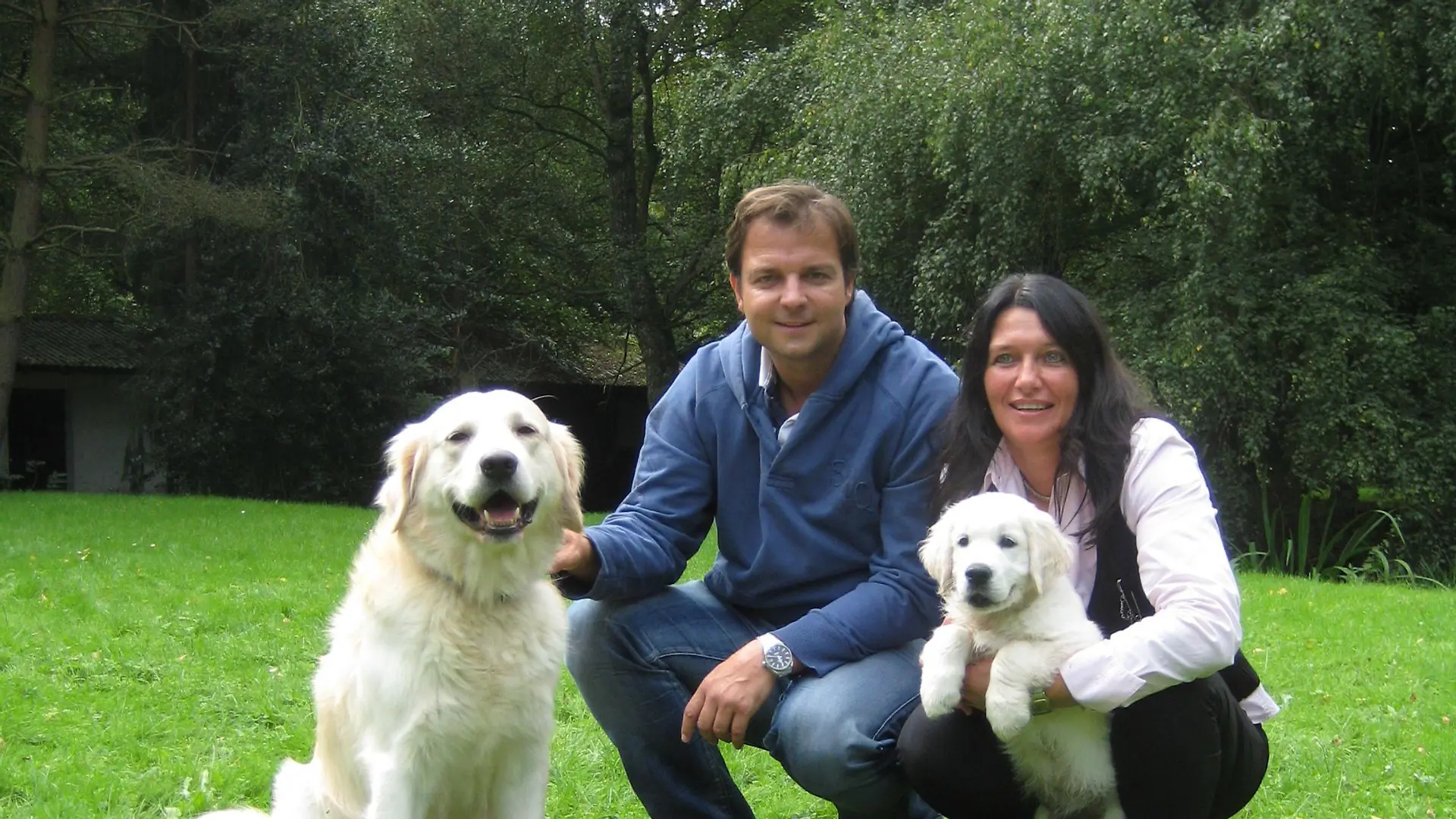Patrizia Schilling-Spurk musste vor einigen wochen ihre ältere Hündin beerdigen. Seitdem trauert nicht nur sie, sondern vor allem auch ihr Golden Retriever Bentley (Hund links). Wann ist die Zeit für einen Welpen reif? Ein Fall für Hundeprofi Martin Rütter